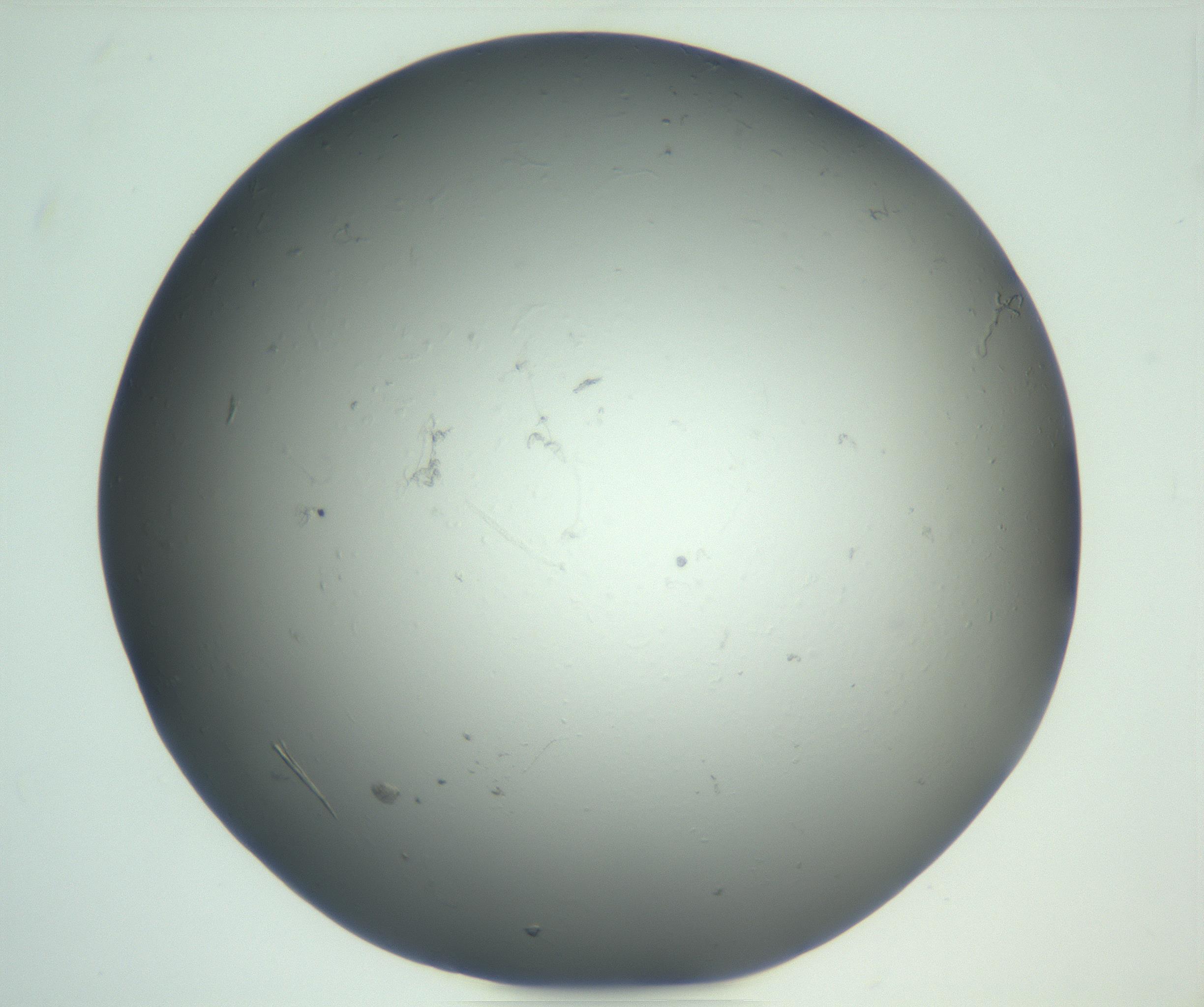 RI01_03_000_0212_Proj1_Clon1_MC_0000MC102864_003_161022_02_02_01_00_99_002_001_RAI.jpg