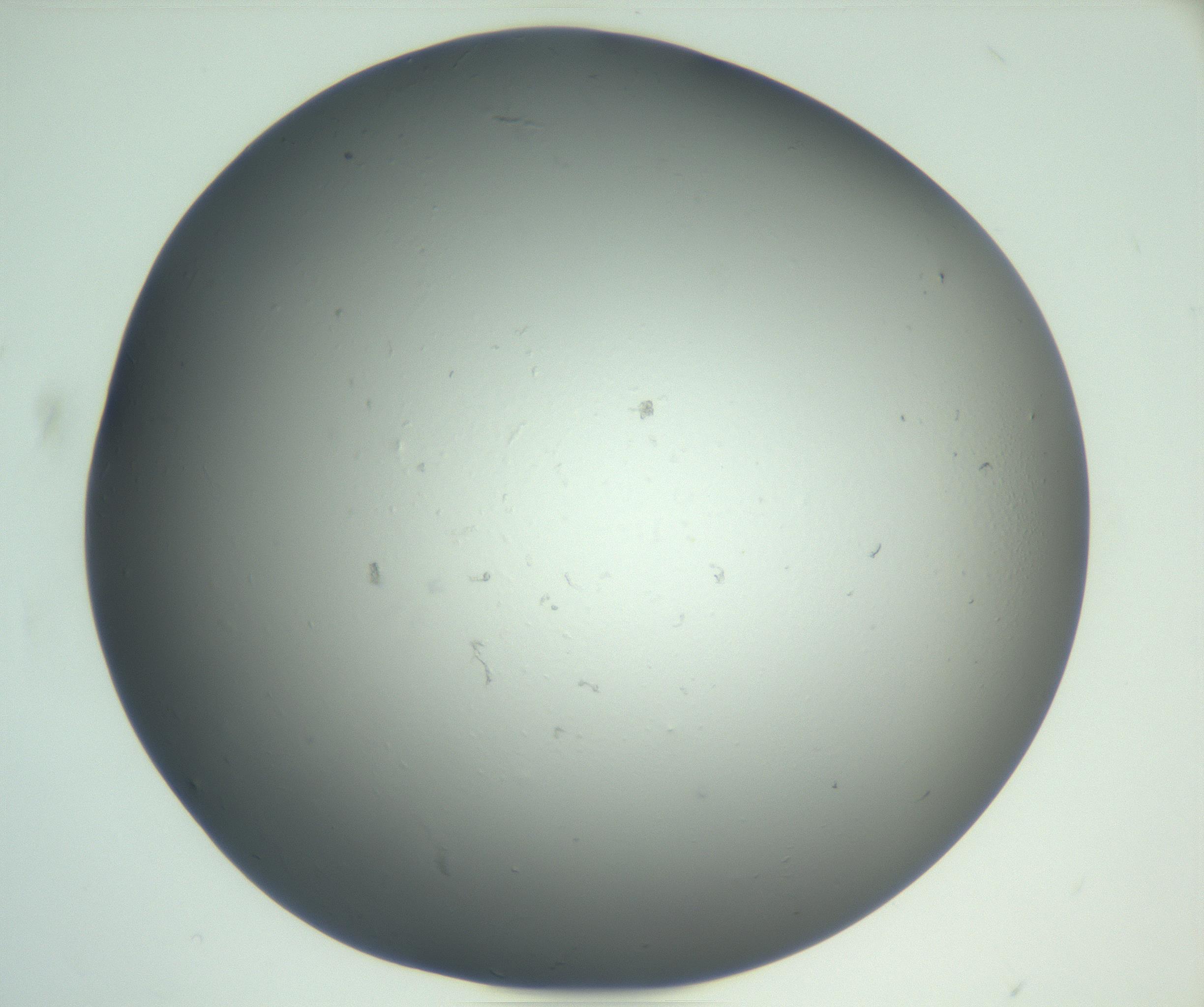 RI01_03_000_0212_Proj1_Clon1_MC_0000MC102864_003_161022_02_02_02_00_99_002_001_RAI.jpg