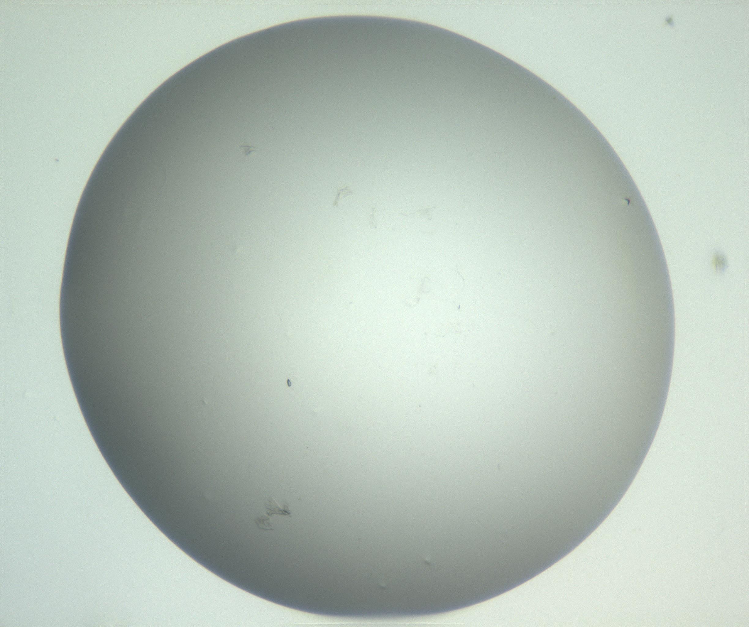 RI01_03_000_0212_Proj1_Clon1_MC_0000MC102864_003_161022_02_03_01_00_99_002_001_RAI.jpg