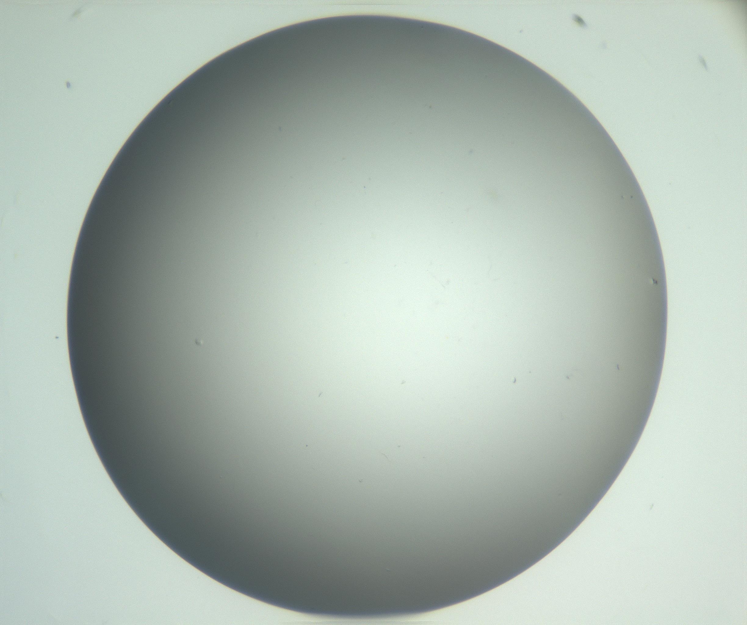 RI01_03_000_0212_Proj1_Clon1_MC_0000MC102864_003_161022_02_03_02_00_99_002_001_RAI.jpg
