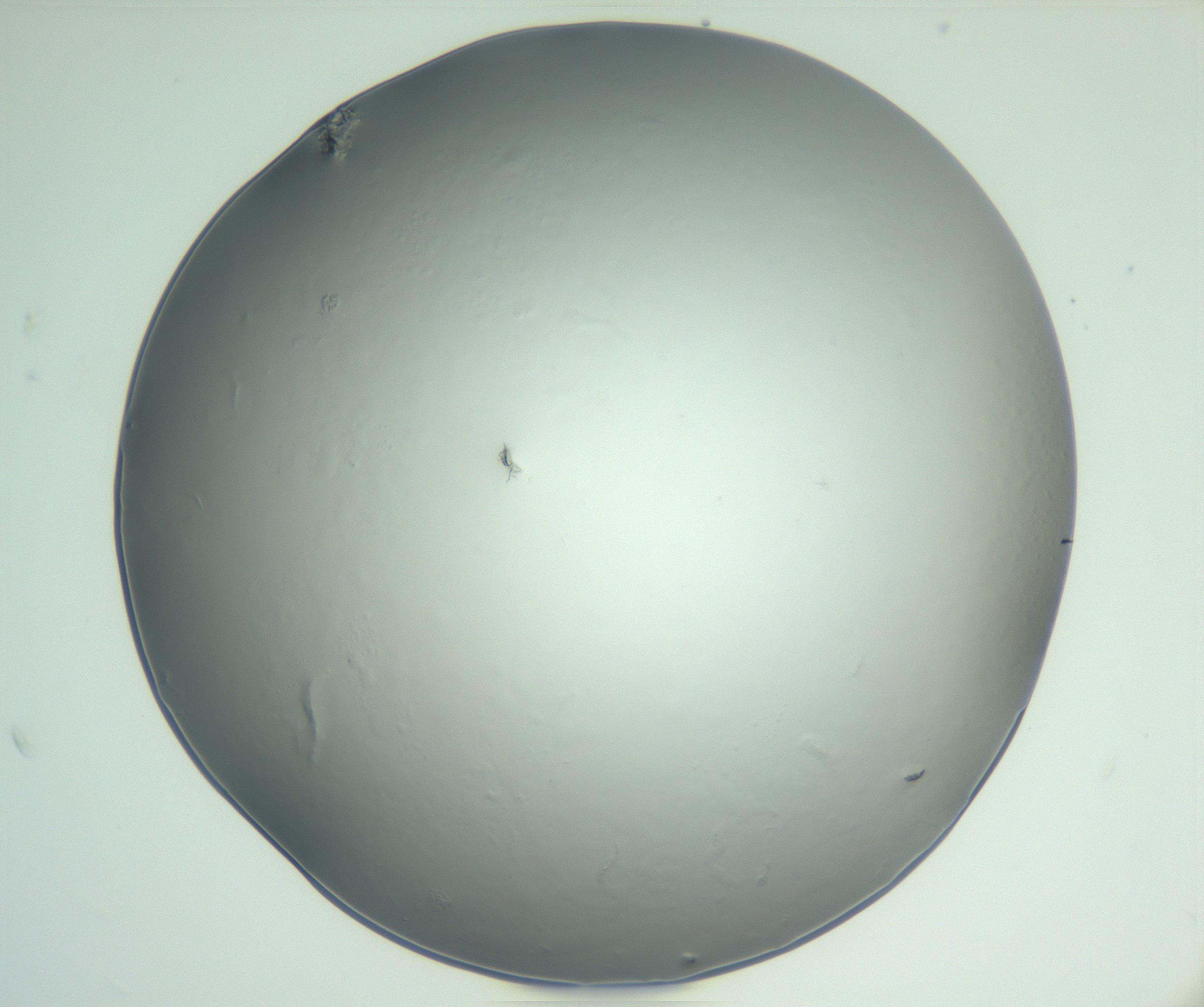 RI01_03_000_0212_Proj1_Clon1_MC_0000MC102864_003_161022_02_04_02_00_99_002_001_RAI.jpg