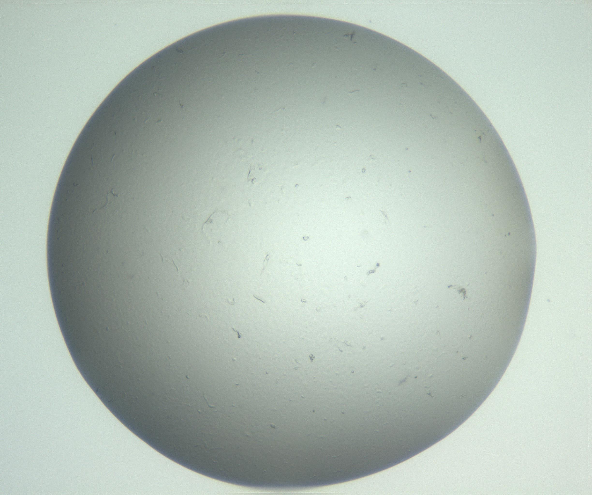 RI01_03_000_0212_Proj1_Clon1_MC_0000MC102864_003_161022_02_06_01_00_99_002_001_RAI.jpg