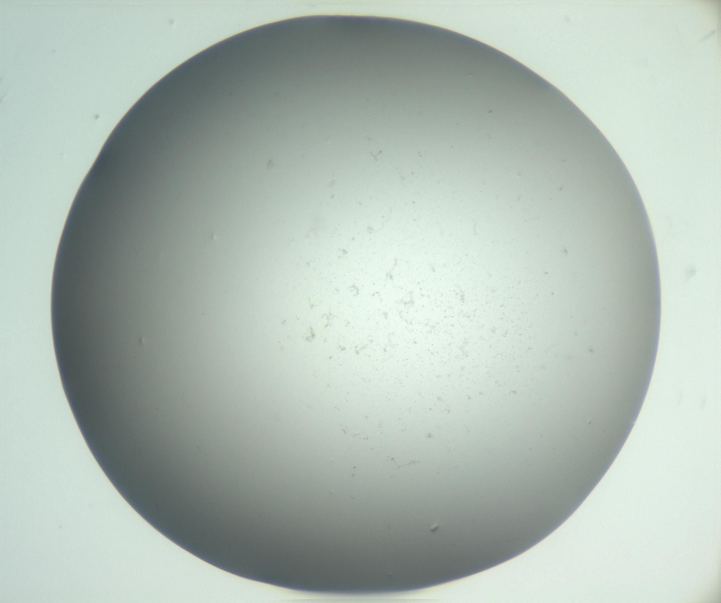 RI01_03_000_0212_Proj1_Clon1_MC_0000MC102864_003_161022_03_02_02_00_99_002_001_RAI.jpg