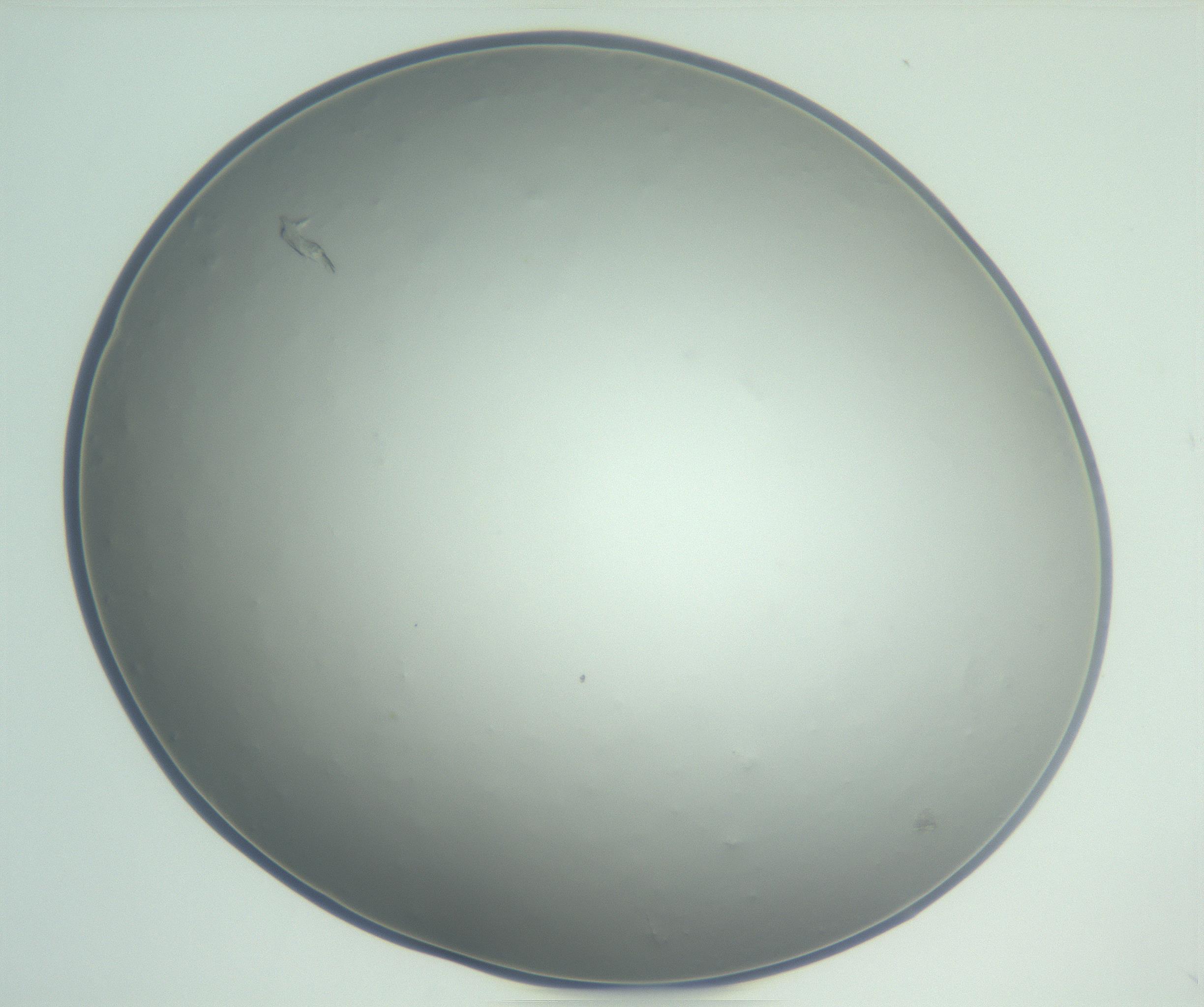 RI01_03_000_0212_Proj1_Clon1_MC_0000MC102864_003_161022_03_03_01_00_99_002_001_RAI.jpg