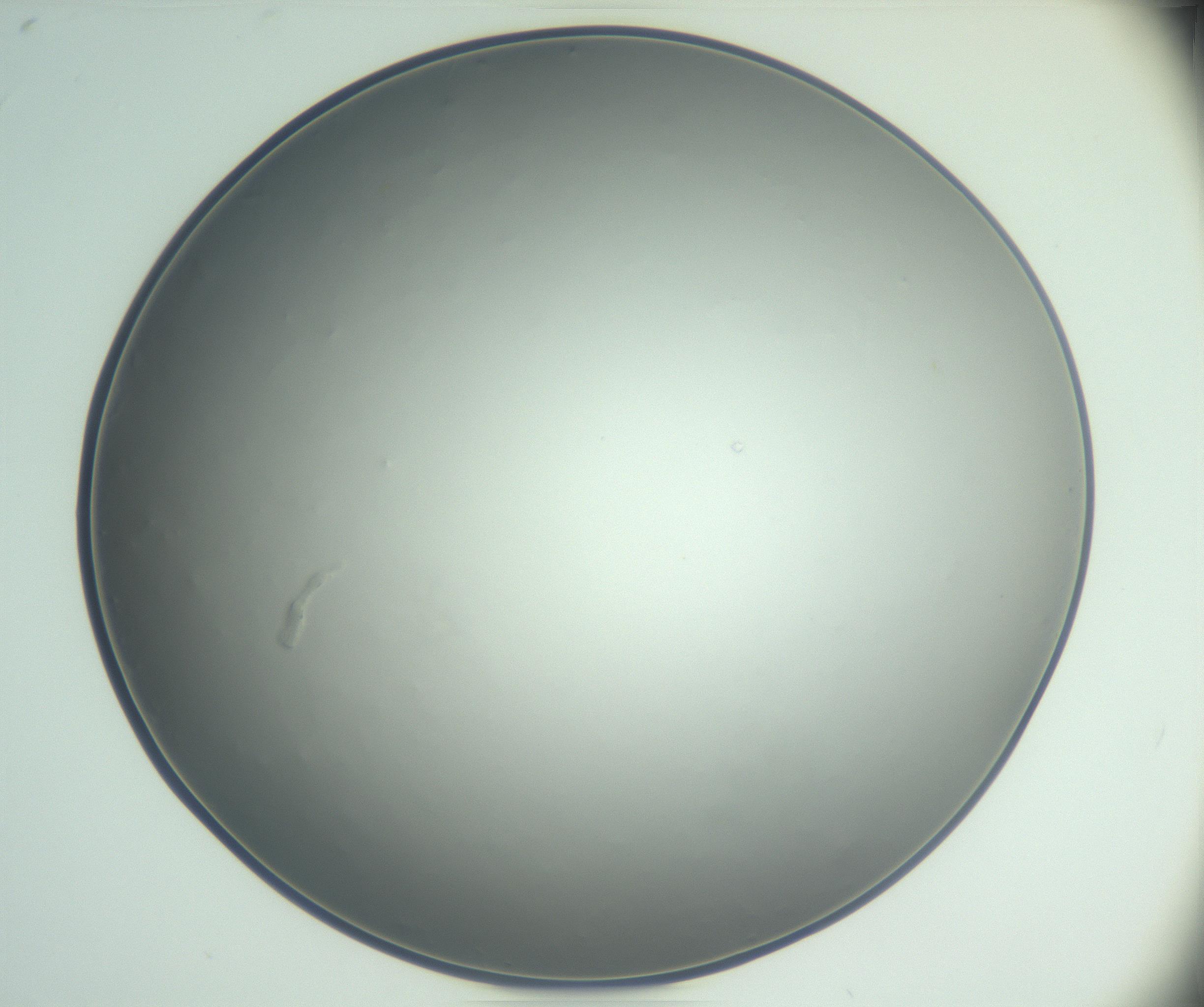 RI01_03_000_0212_Proj1_Clon1_MC_0000MC102864_003_161022_03_03_02_00_99_002_001_RAI.jpg
