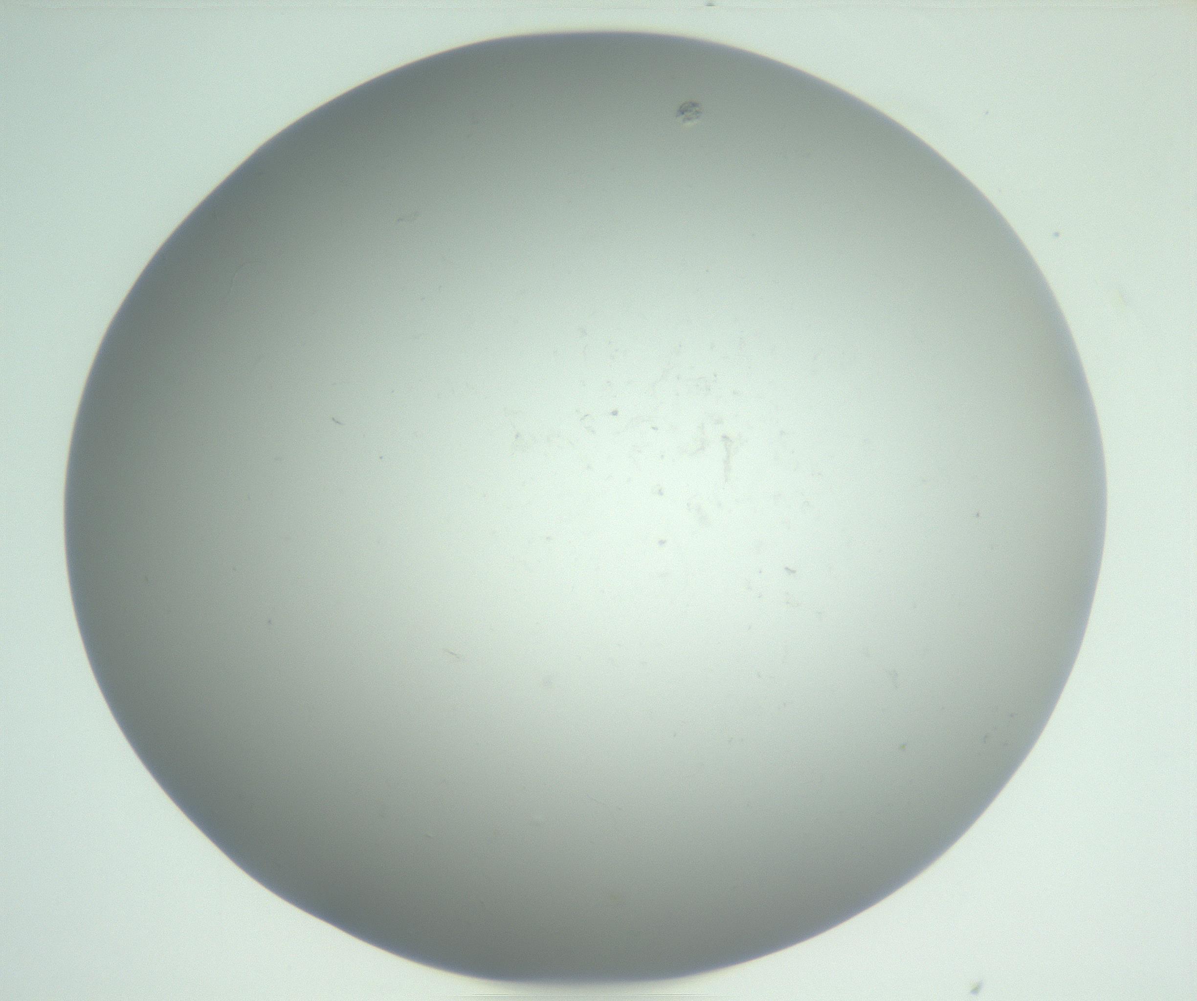 RI01_03_000_0212_Proj1_Clon1_MC_0000MC102864_003_161022_03_05_01_00_99_002_001_RAI.jpg