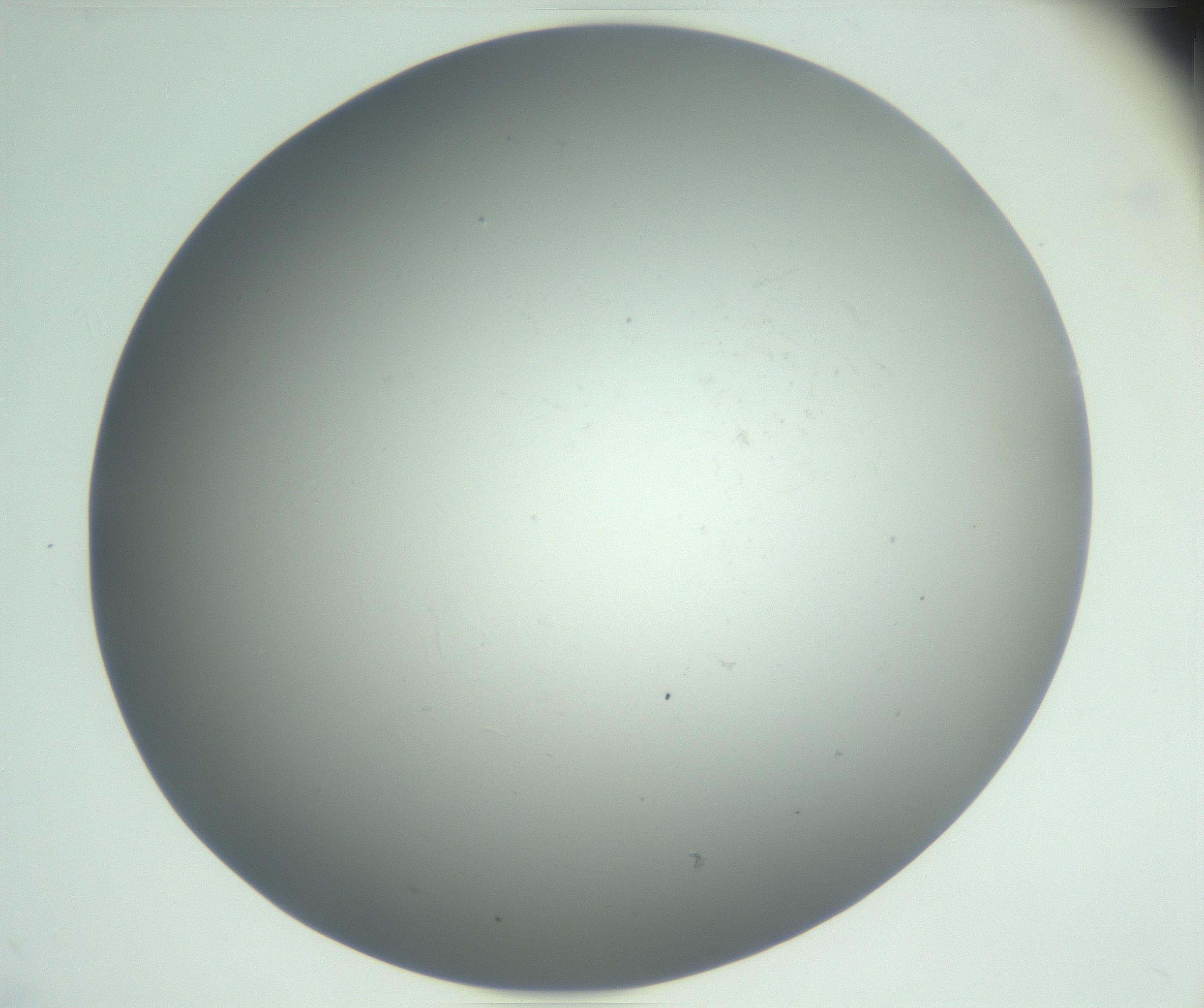 RI01_03_000_0212_Proj1_Clon1_MC_0000MC102864_003_161022_03_05_02_00_99_002_001_RAI.jpg