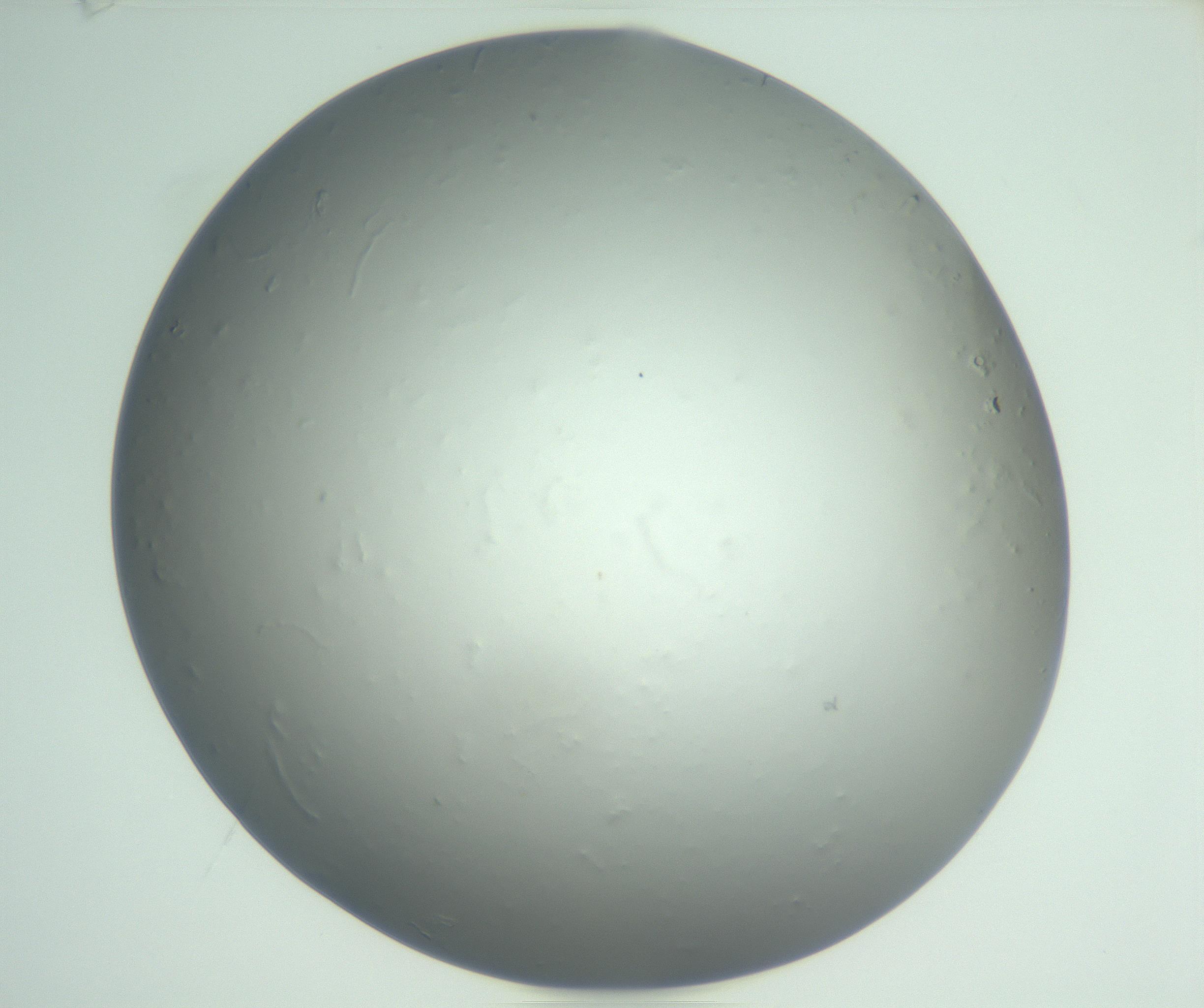 RI01_03_000_0212_Proj1_Clon1_MC_0000MC102864_003_161022_03_06_01_00_99_002_001_RAI.jpg