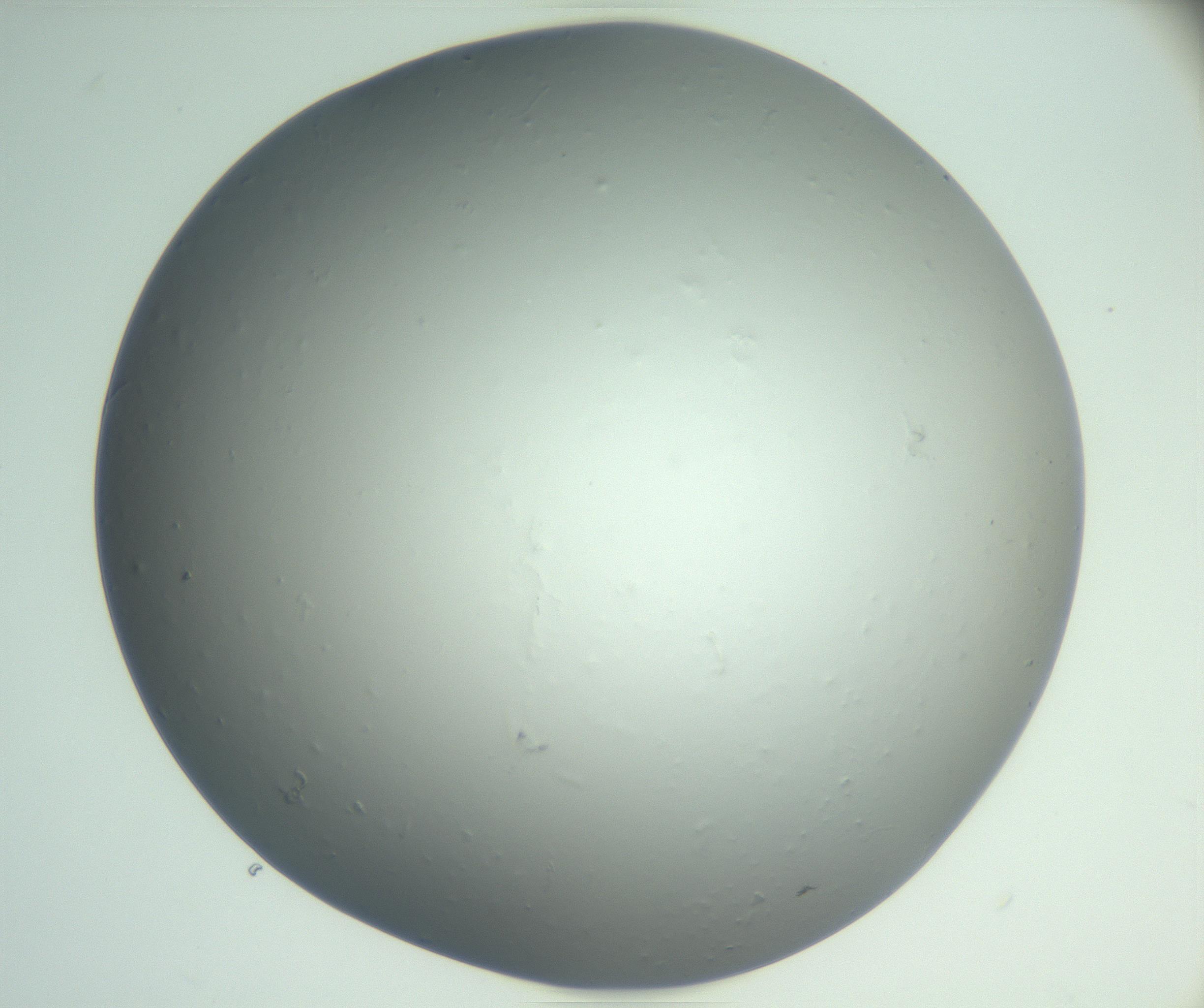 RI01_03_000_0212_Proj1_Clon1_MC_0000MC102864_003_161022_03_06_02_00_99_002_001_RAI.jpg