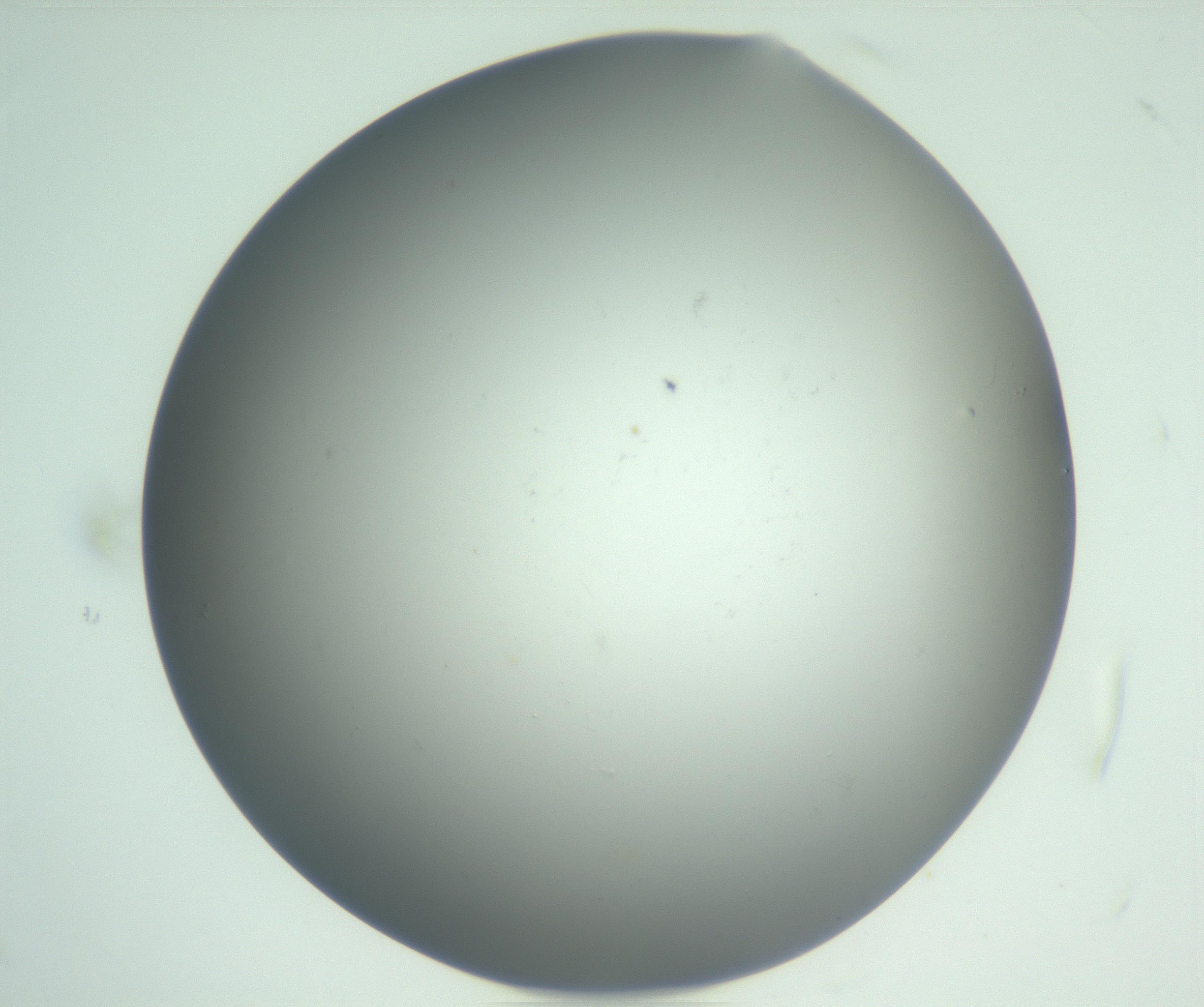 RI01_03_000_0212_Proj1_Clon1_MC_0000MC102864_003_161022_04_01_01_00_99_002_001_RAI.jpg