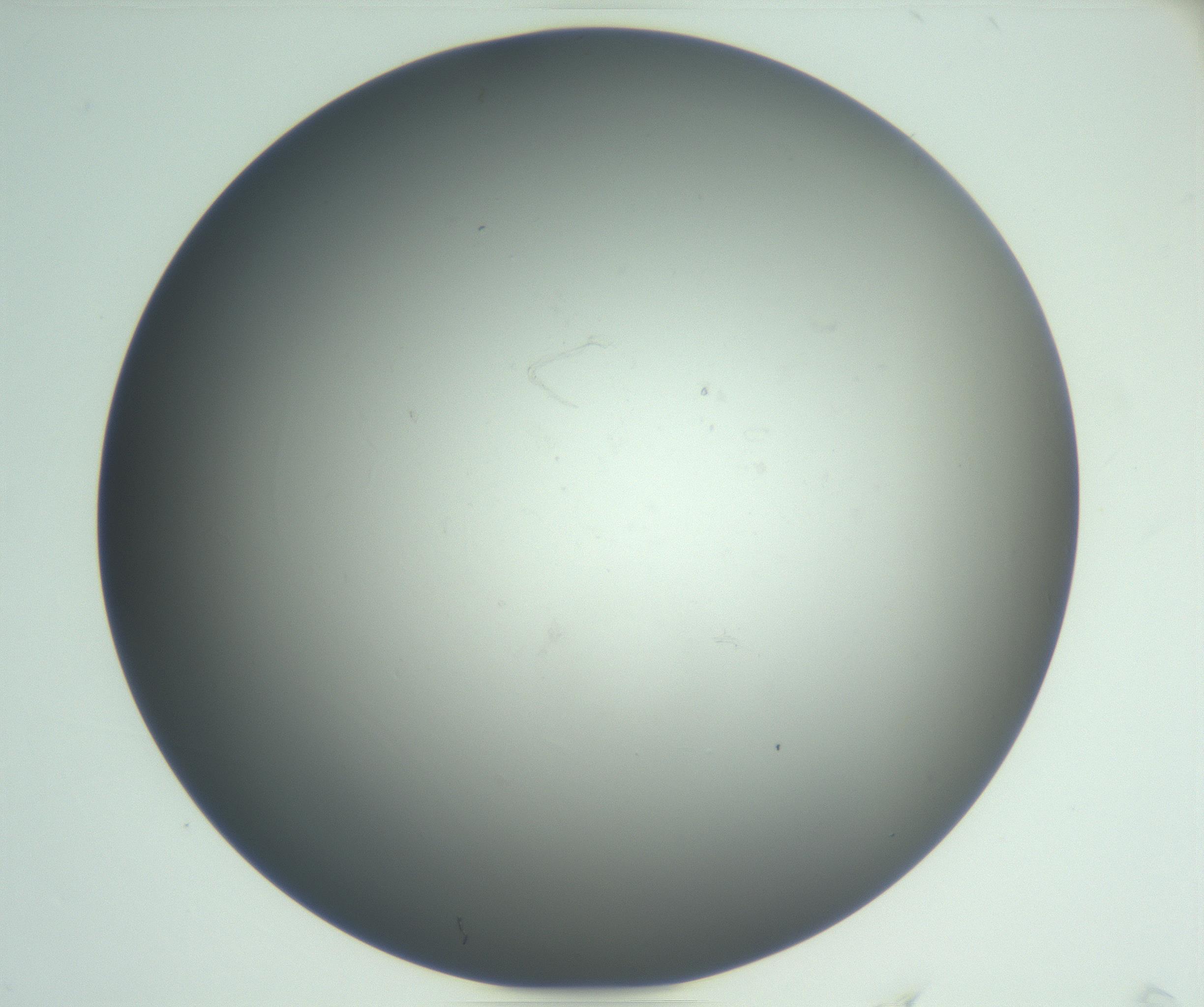 RI01_03_000_0212_Proj1_Clon1_MC_0000MC102864_003_161022_04_05_02_00_99_002_001_RAI.jpg
