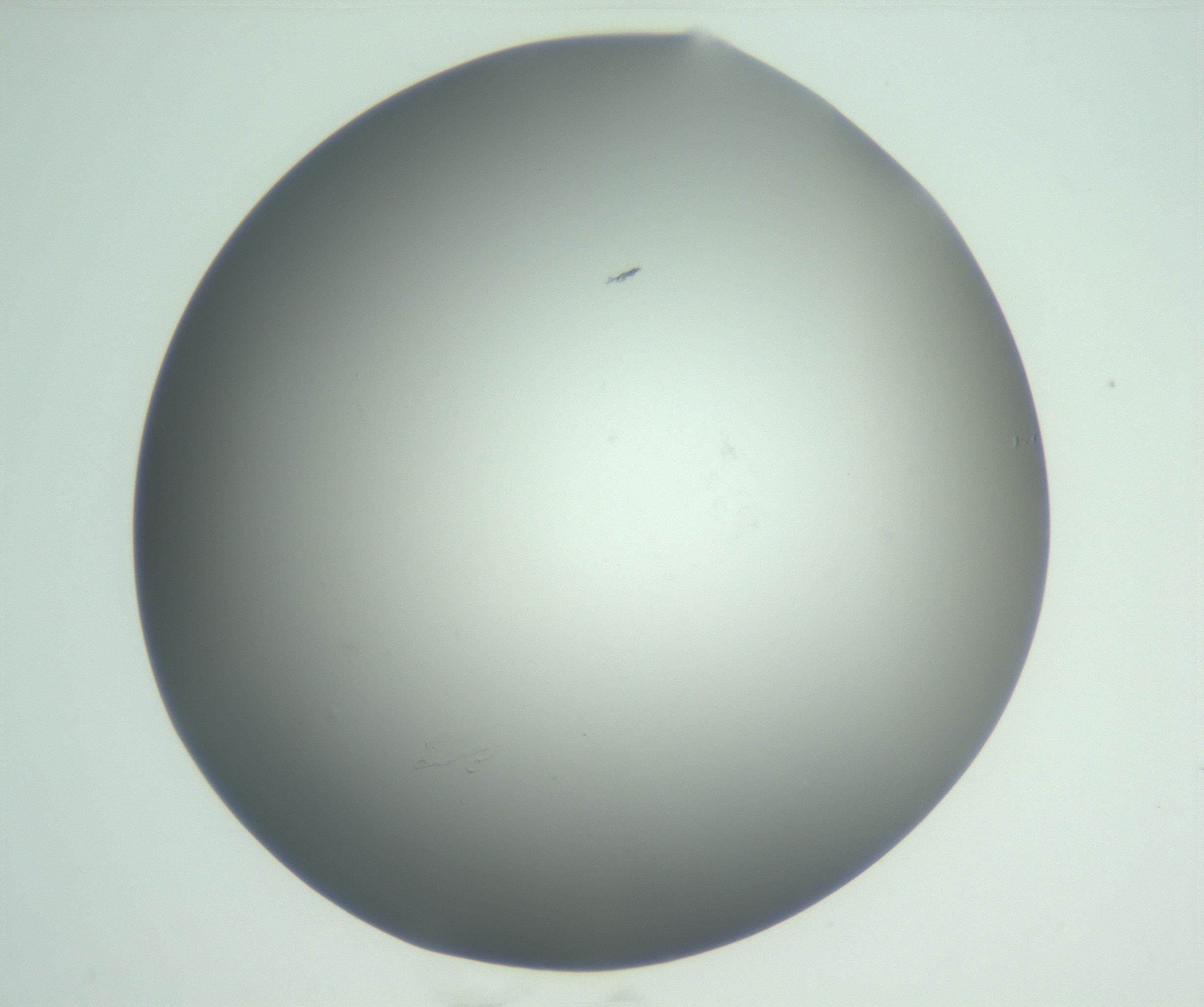 RI01_03_000_0212_Proj1_Clon1_MC_0000MC102864_003_161022_04_06_01_00_99_002_001_RAI.jpg