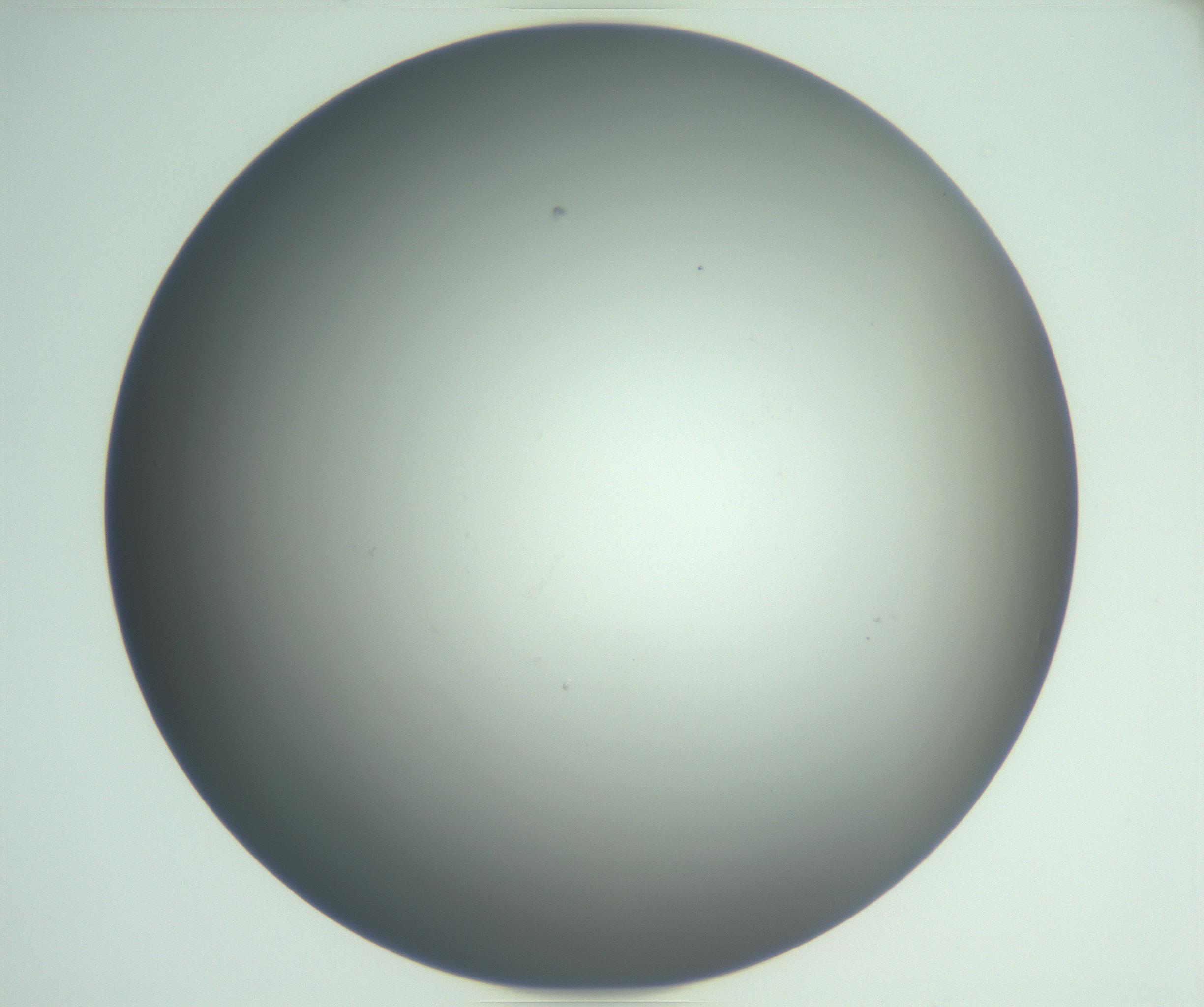 RI01_03_000_0212_Proj1_Clon1_MC_0000MC102864_003_161022_04_06_02_00_99_002_001_RAI.jpg