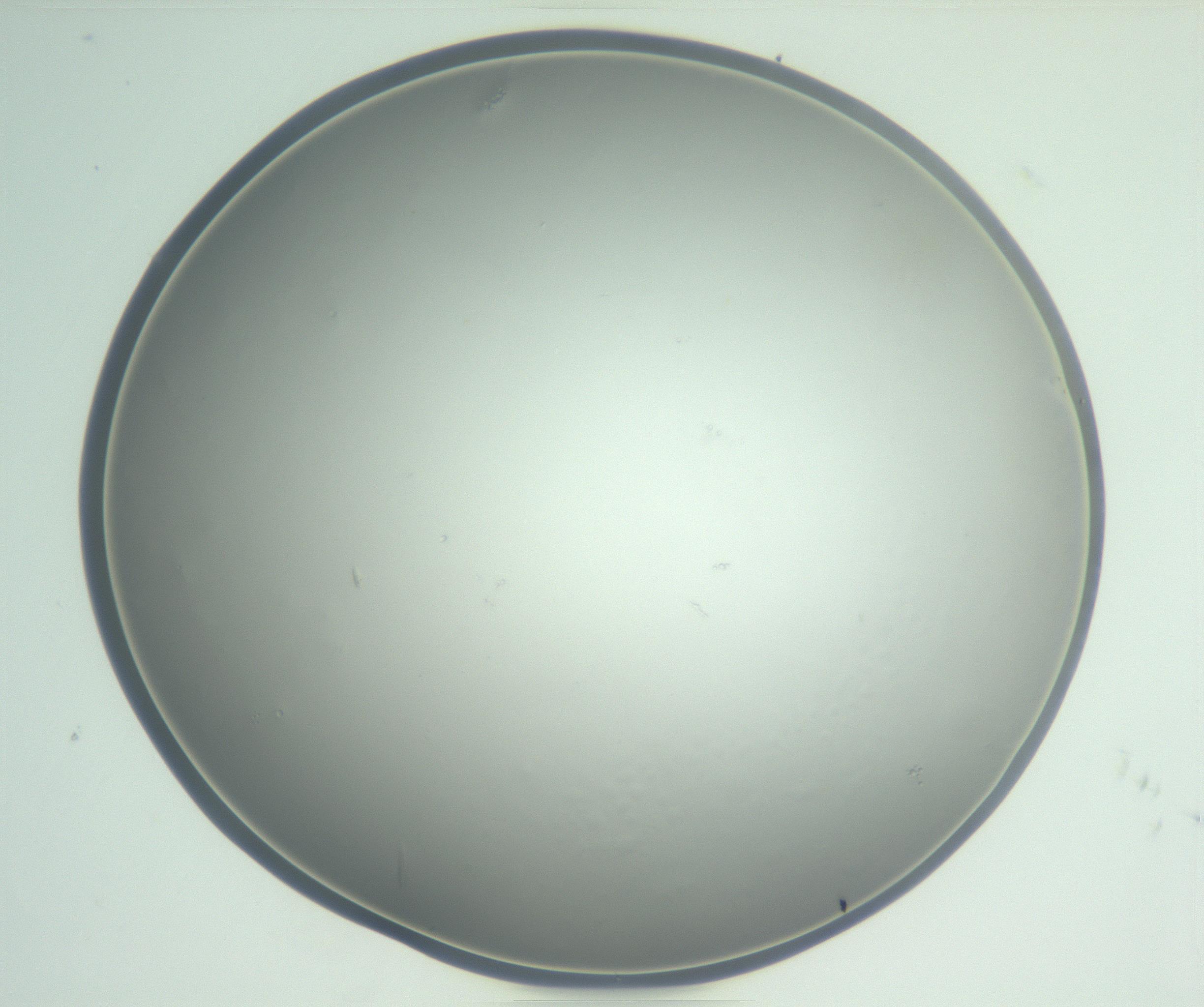 RI01_03_000_0212_Proj1_Clon1_MC_0000MC102864_003_161022_05_03_01_00_99_002_001_RAI.jpg