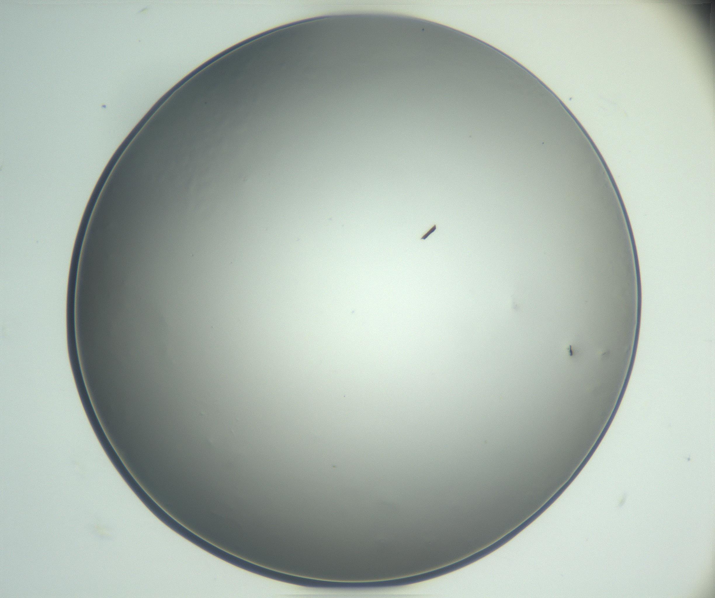 RI01_03_000_0212_Proj1_Clon1_MC_0000MC102864_003_161022_05_03_02_00_99_002_001_RAI.jpg