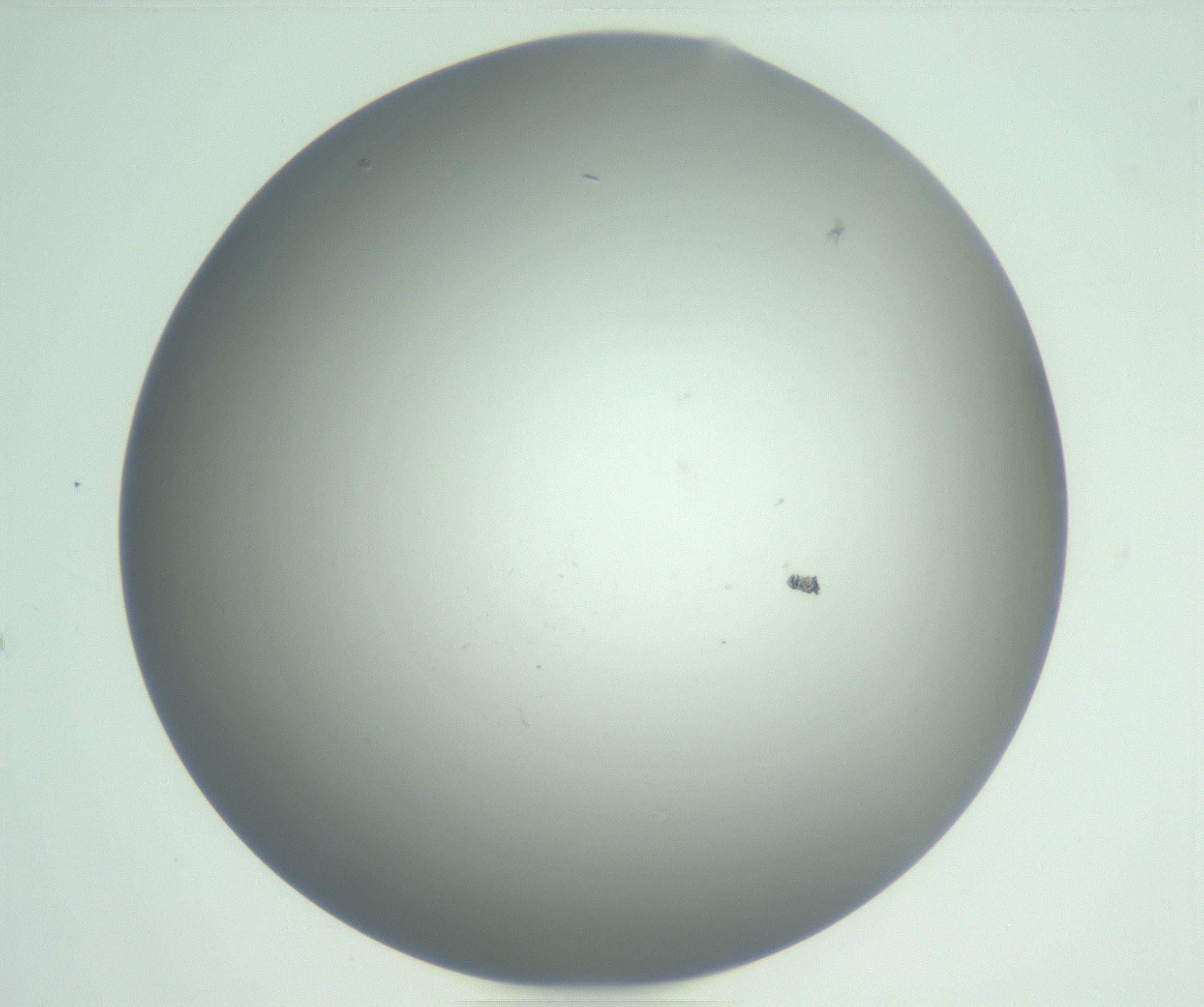 RI01_03_000_0212_Proj1_Clon1_MC_0000MC102864_003_161022_05_05_01_00_99_002_001_RAI.jpg