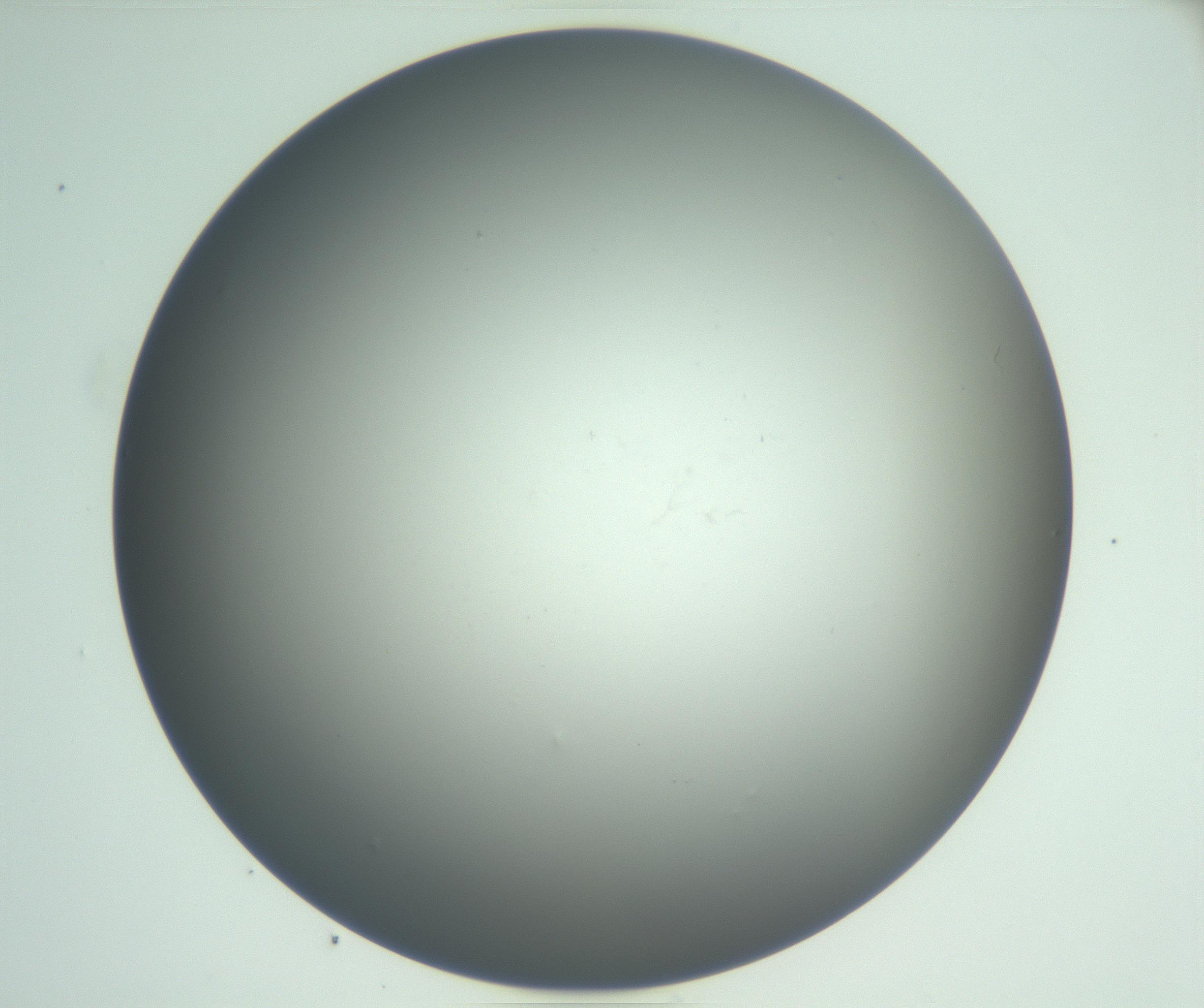 RI01_03_000_0212_Proj1_Clon1_MC_0000MC102864_003_161022_05_05_02_00_99_002_001_RAI.jpg