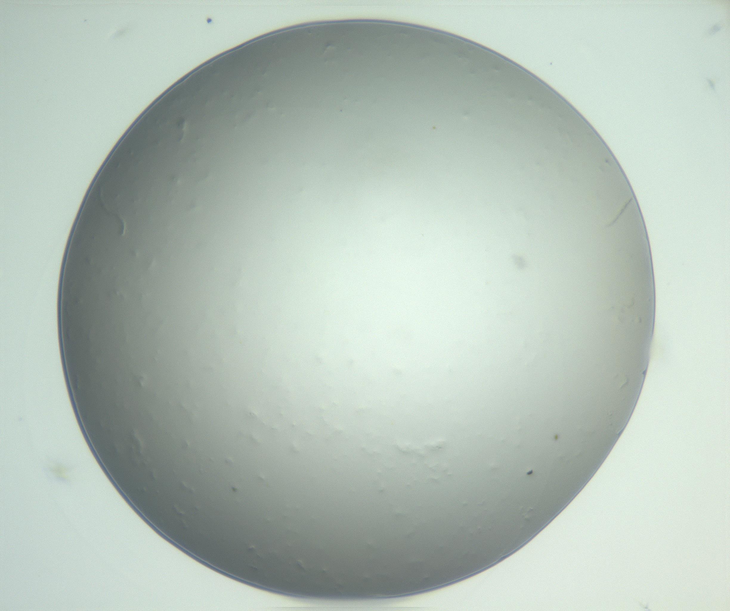 RI01_03_000_0212_Proj1_Clon1_MC_0000MC102864_003_161022_05_06_01_00_99_002_001_RAI.jpg