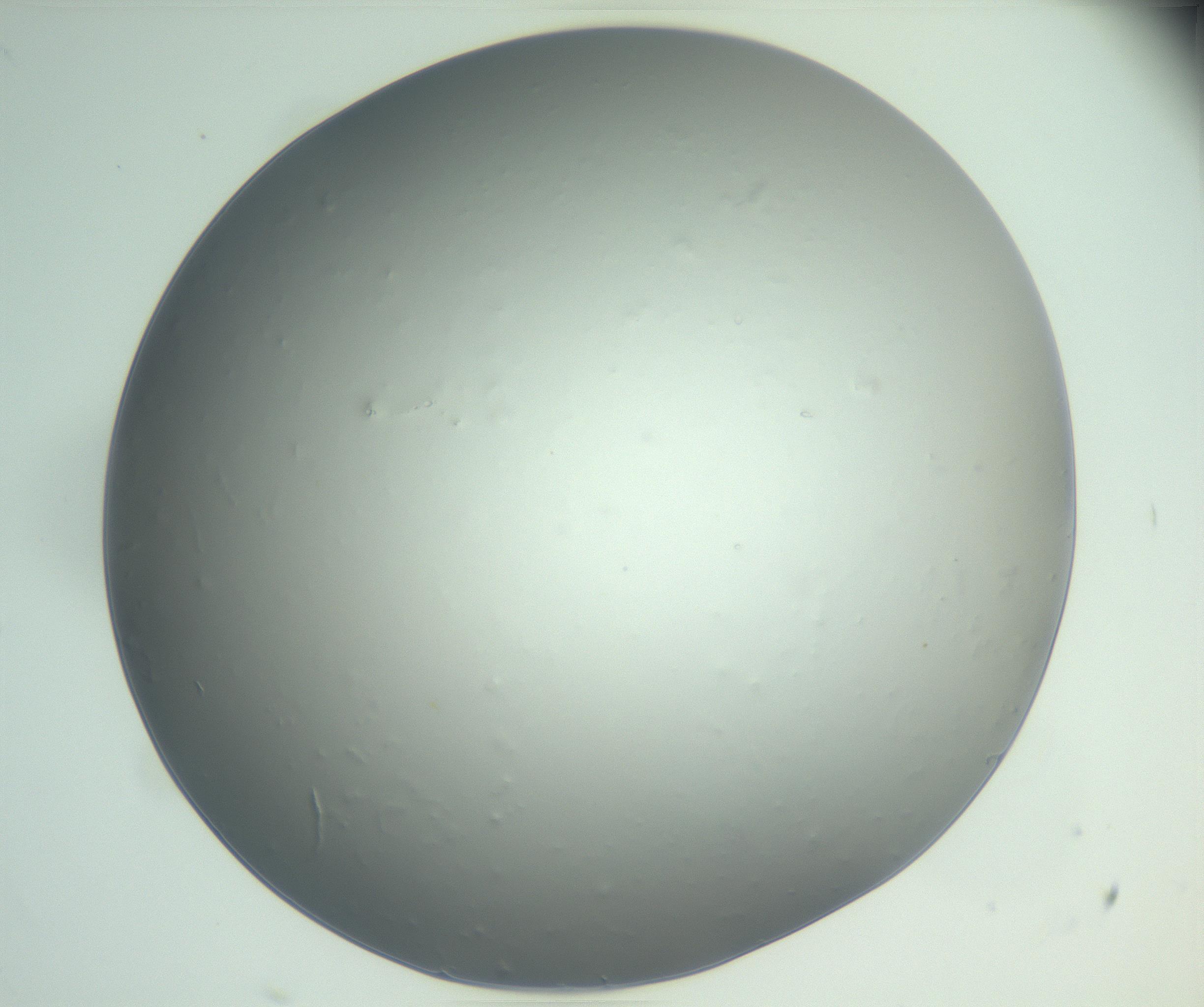 RI01_03_000_0212_Proj1_Clon1_MC_0000MC102864_003_161022_05_06_02_00_99_002_001_RAI.jpg