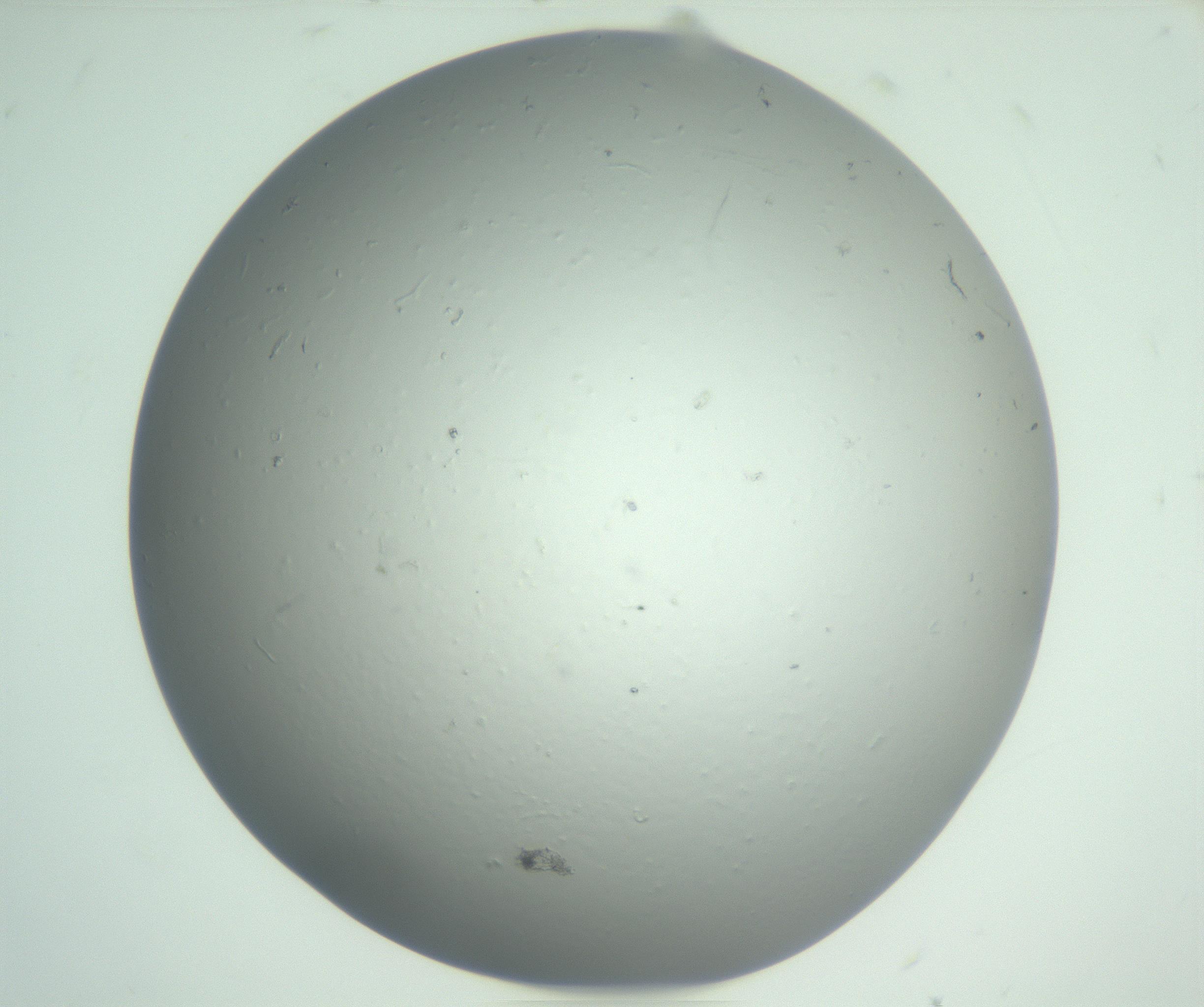 RI01_03_000_0212_Proj1_Clon1_MC_0000MC102864_003_161022_06_01_01_00_99_002_001_RAI.jpg