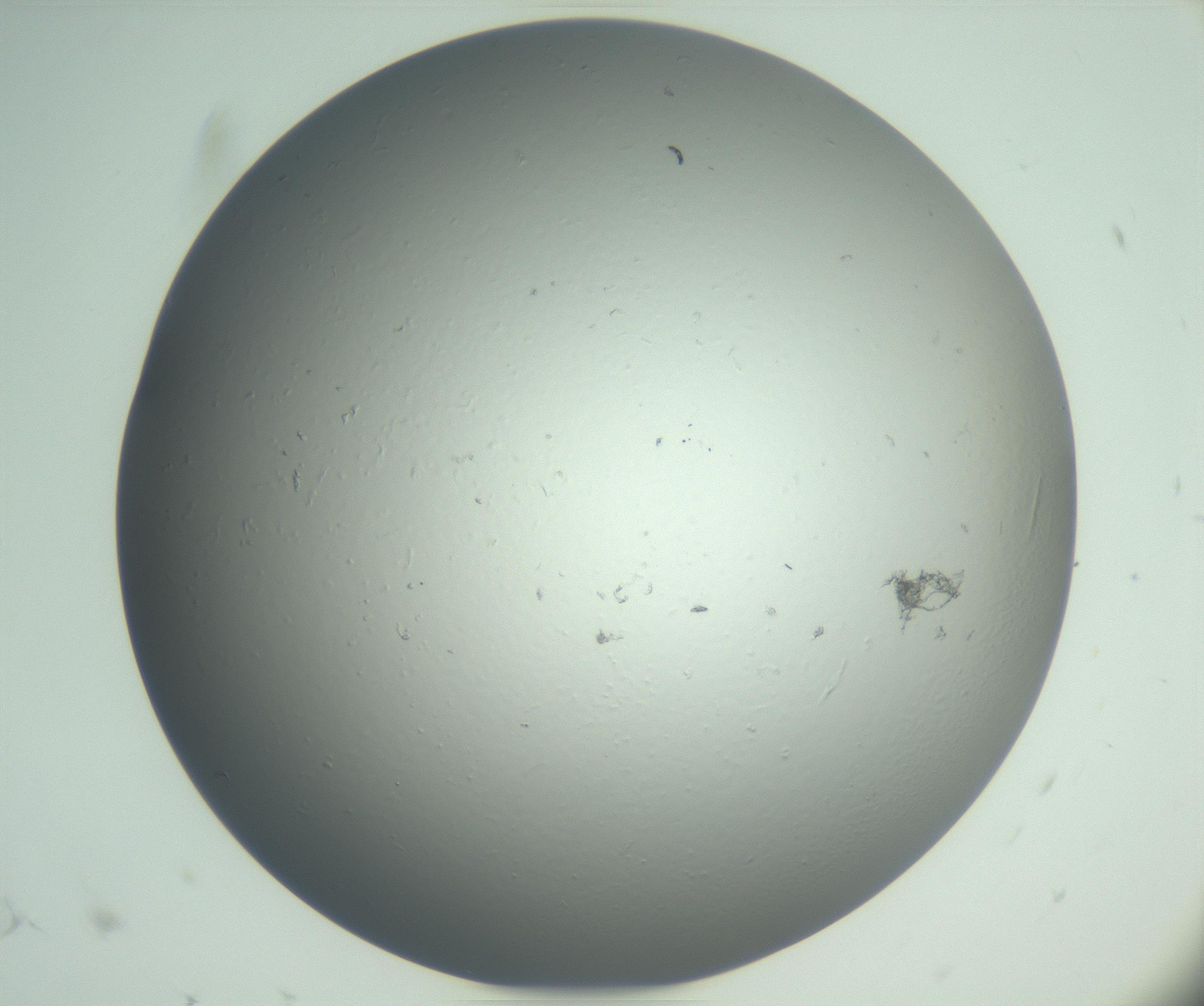 RI01_03_000_0212_Proj1_Clon1_MC_0000MC102864_003_161022_06_01_02_00_99_002_001_RAI.jpg