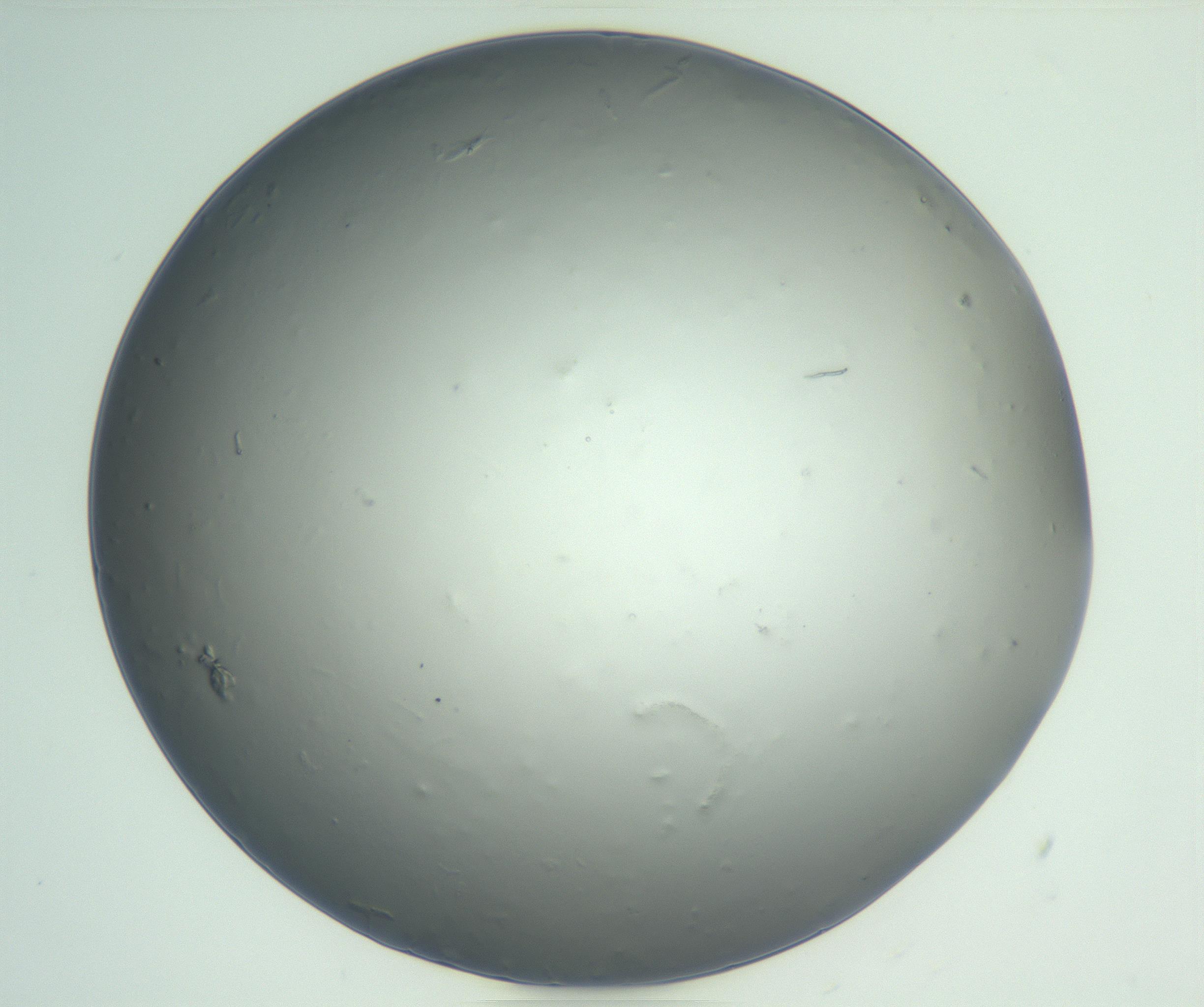 RI01_03_000_0212_Proj1_Clon1_MC_0000MC102864_003_161022_06_02_01_00_99_002_001_RAI.jpg