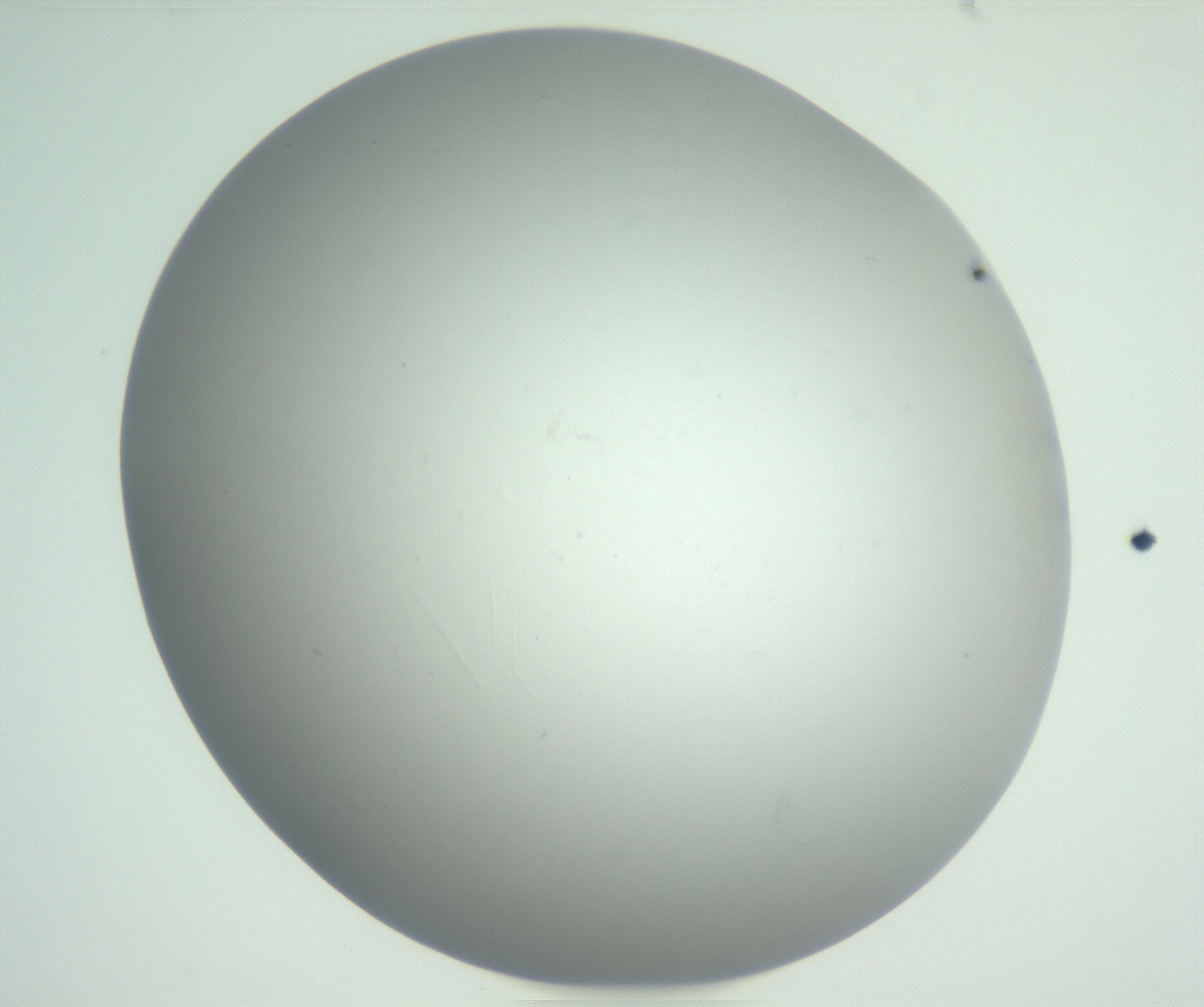 RI01_03_000_0212_Proj1_Clon1_MC_0000MC102864_003_161022_06_03_01_00_99_002_001_RAI.jpg