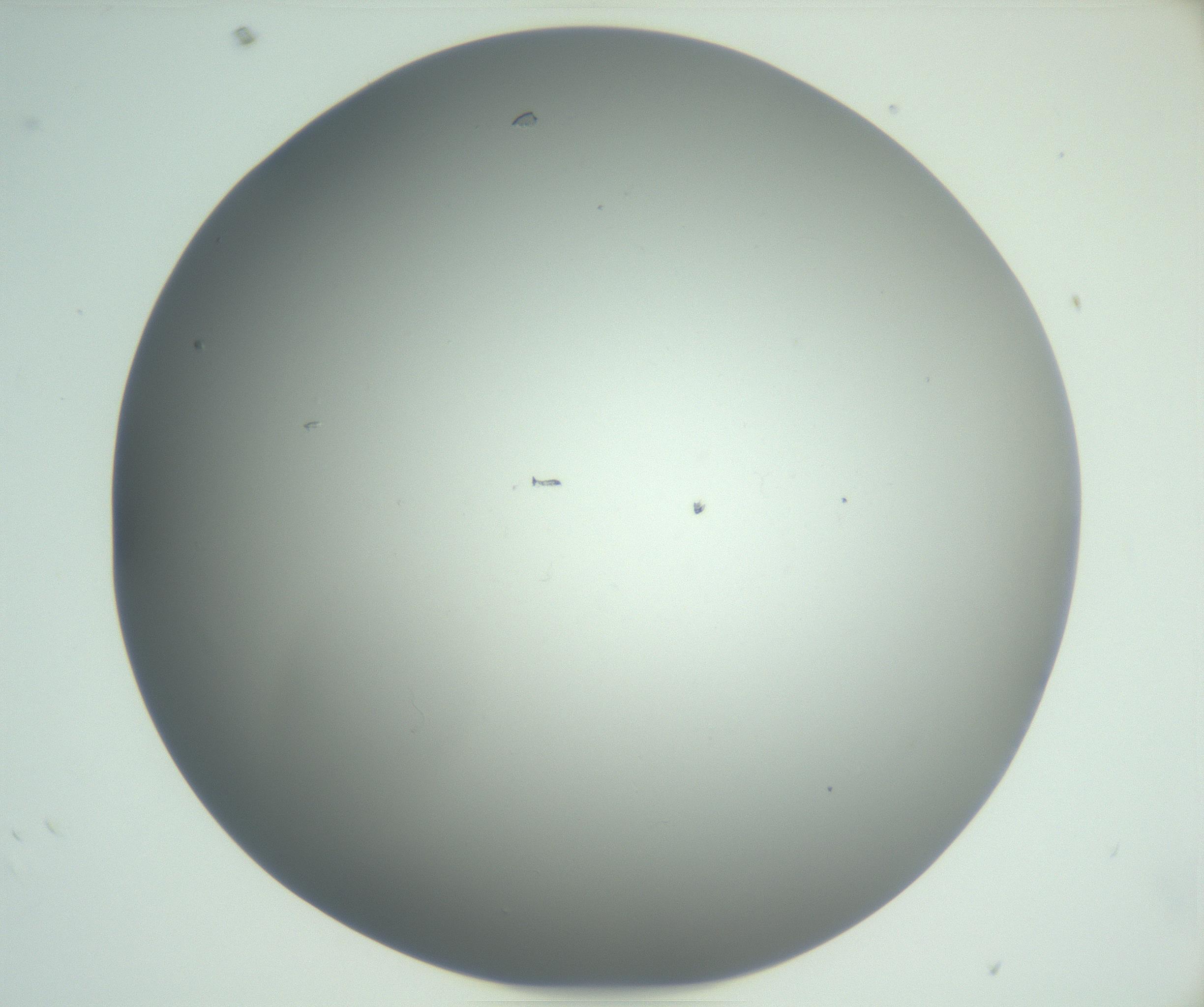RI01_03_000_0212_Proj1_Clon1_MC_0000MC102864_003_161022_06_03_02_00_99_002_001_RAI.jpg