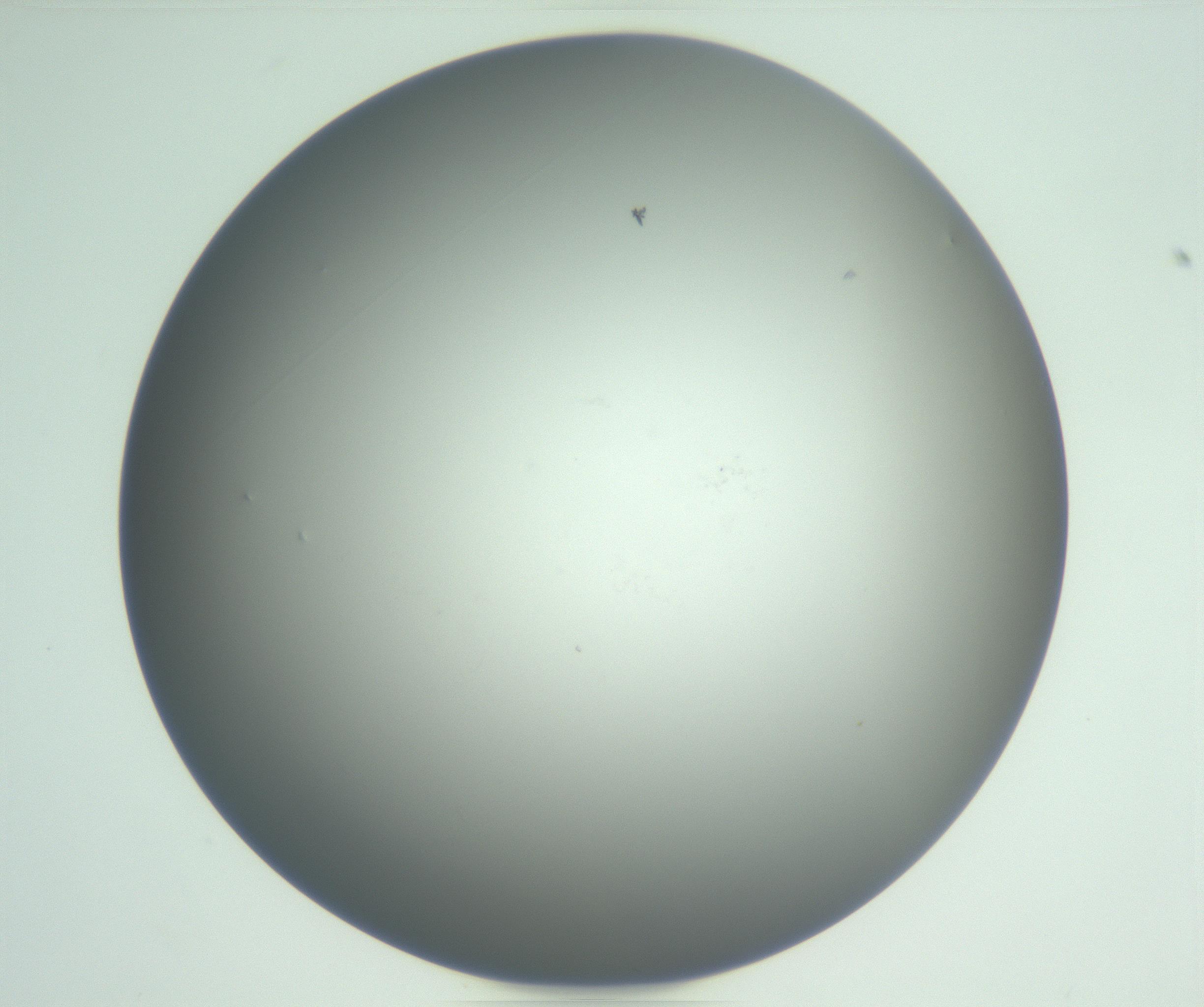 RI01_03_000_0212_Proj1_Clon1_MC_0000MC102864_003_161022_06_05_01_00_99_002_001_RAI.jpg