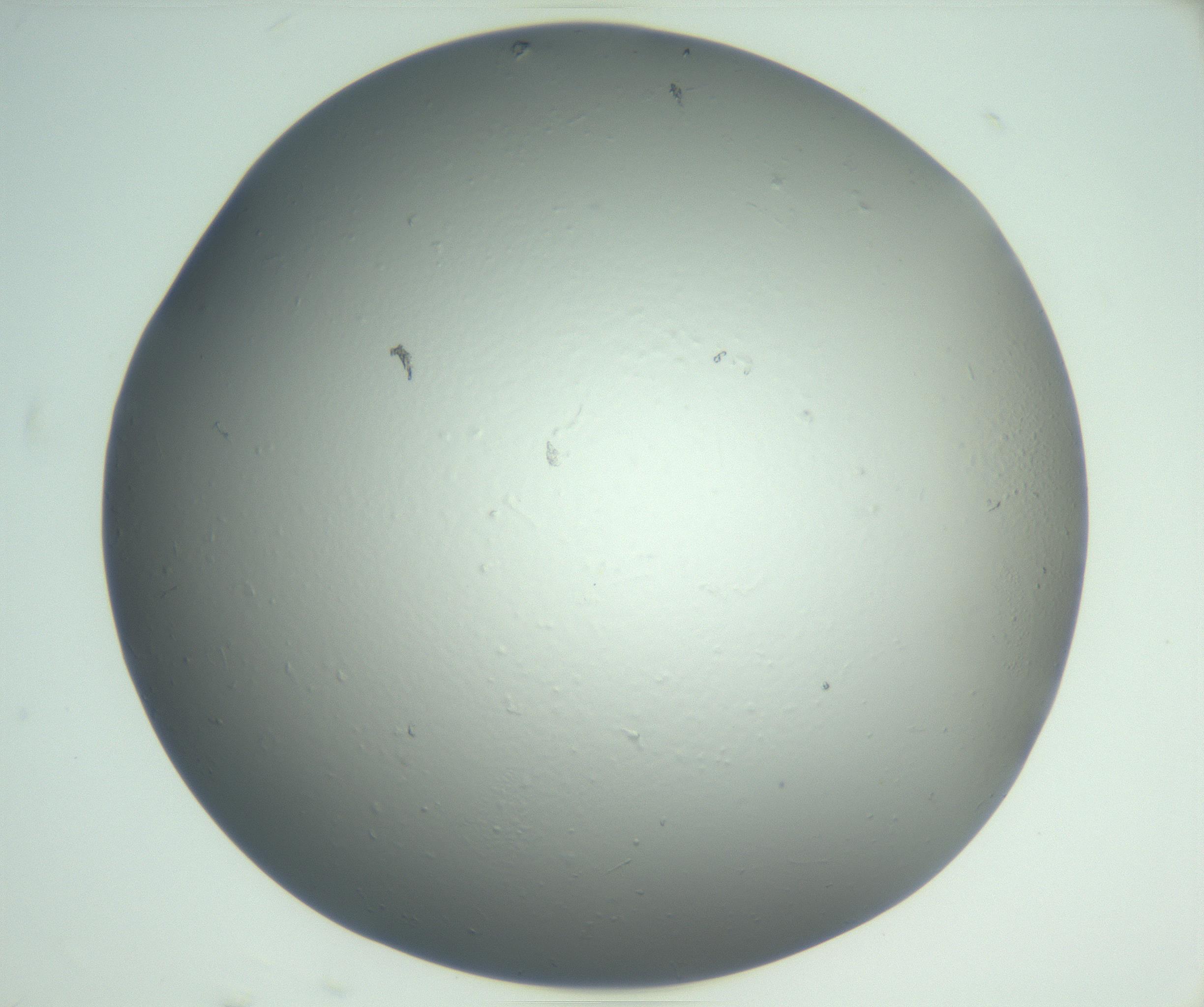 RI01_03_000_0212_Proj1_Clon1_MC_0000MC102864_003_161022_06_06_02_00_99_002_001_RAI.jpg