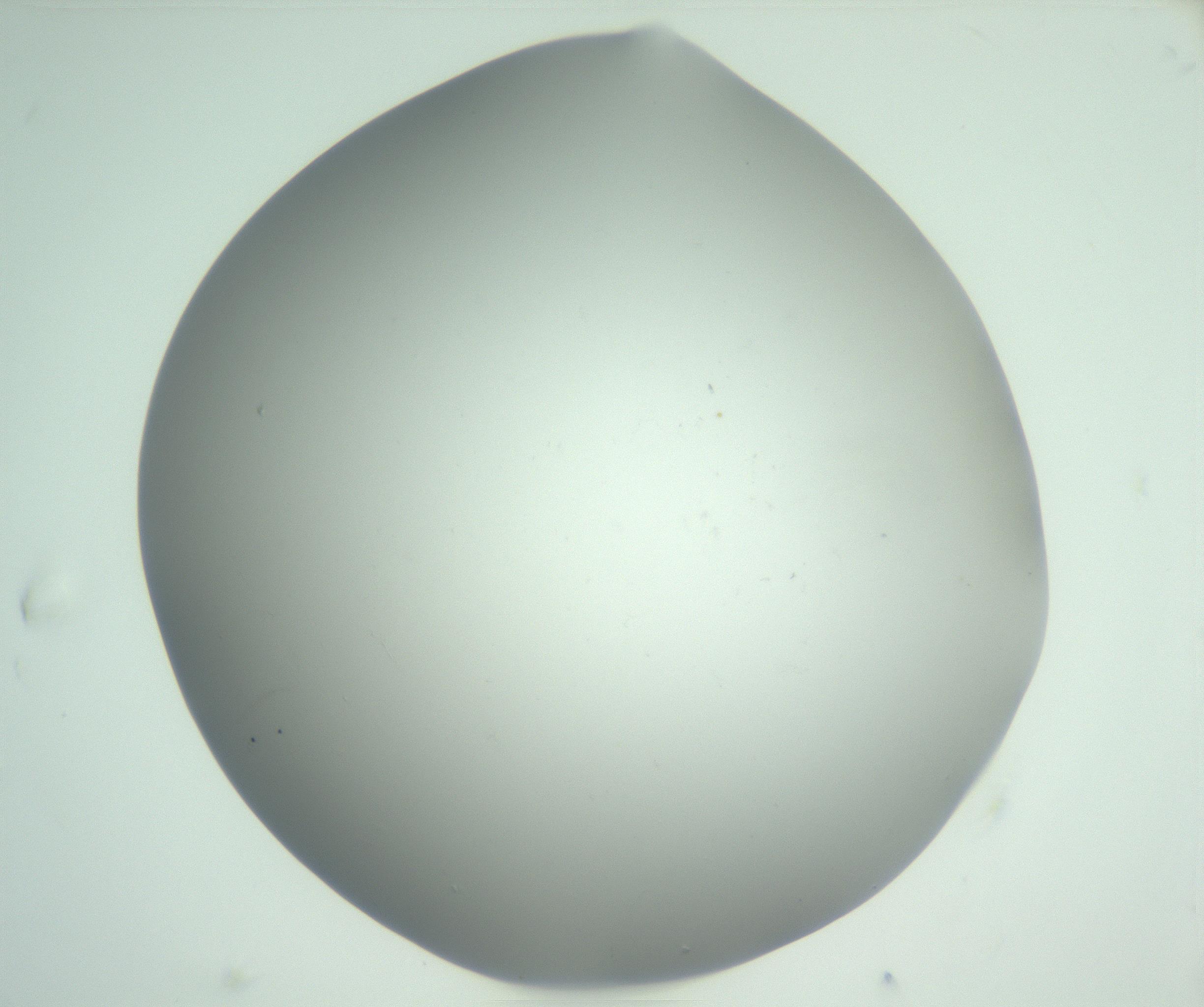 RI01_03_000_0212_Proj1_Clon1_MC_0000MC102864_003_161022_07_01_01_00_99_002_001_RAI.jpg