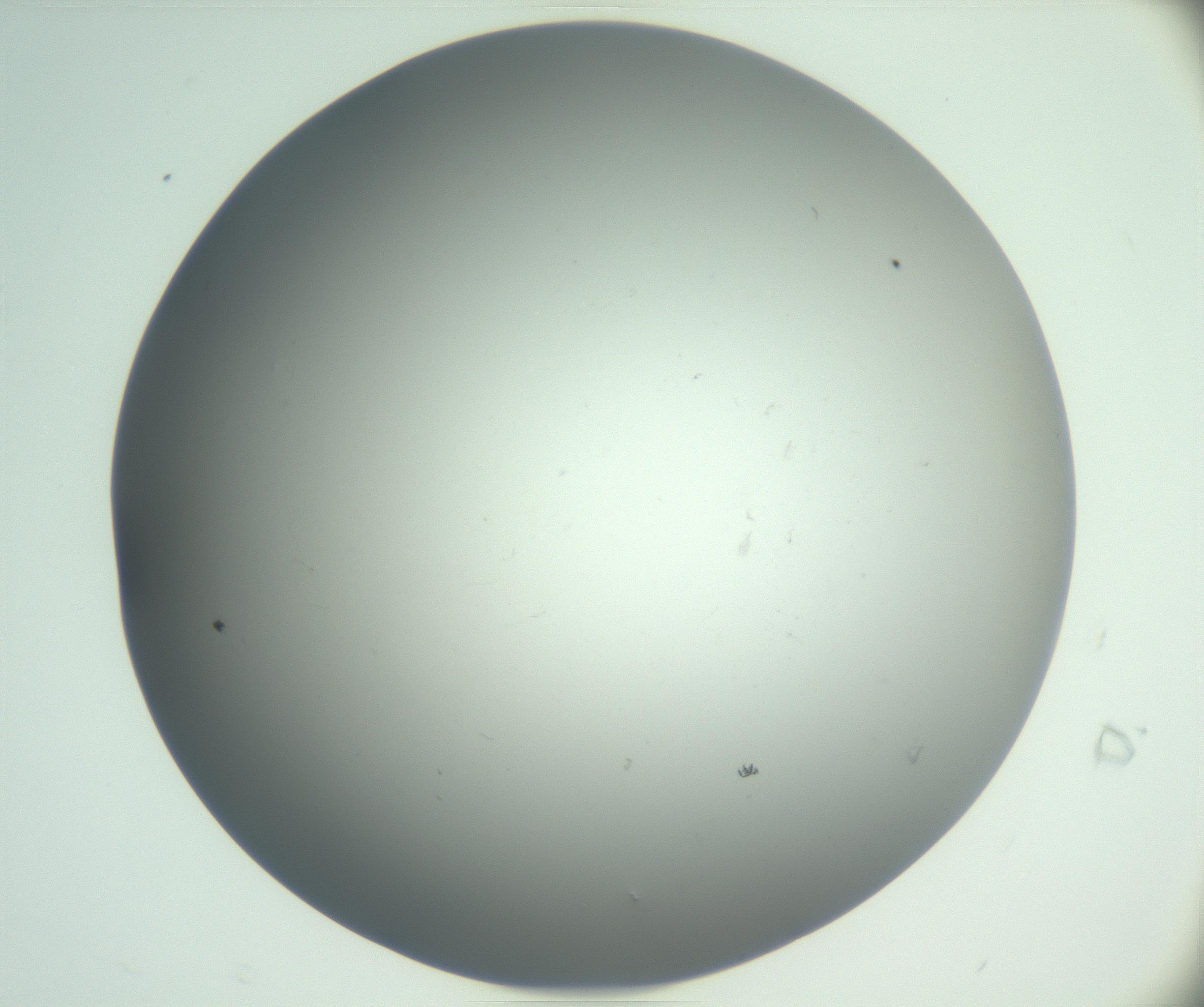 RI01_03_000_0212_Proj1_Clon1_MC_0000MC102864_003_161022_07_01_02_00_99_002_001_RAI.jpg