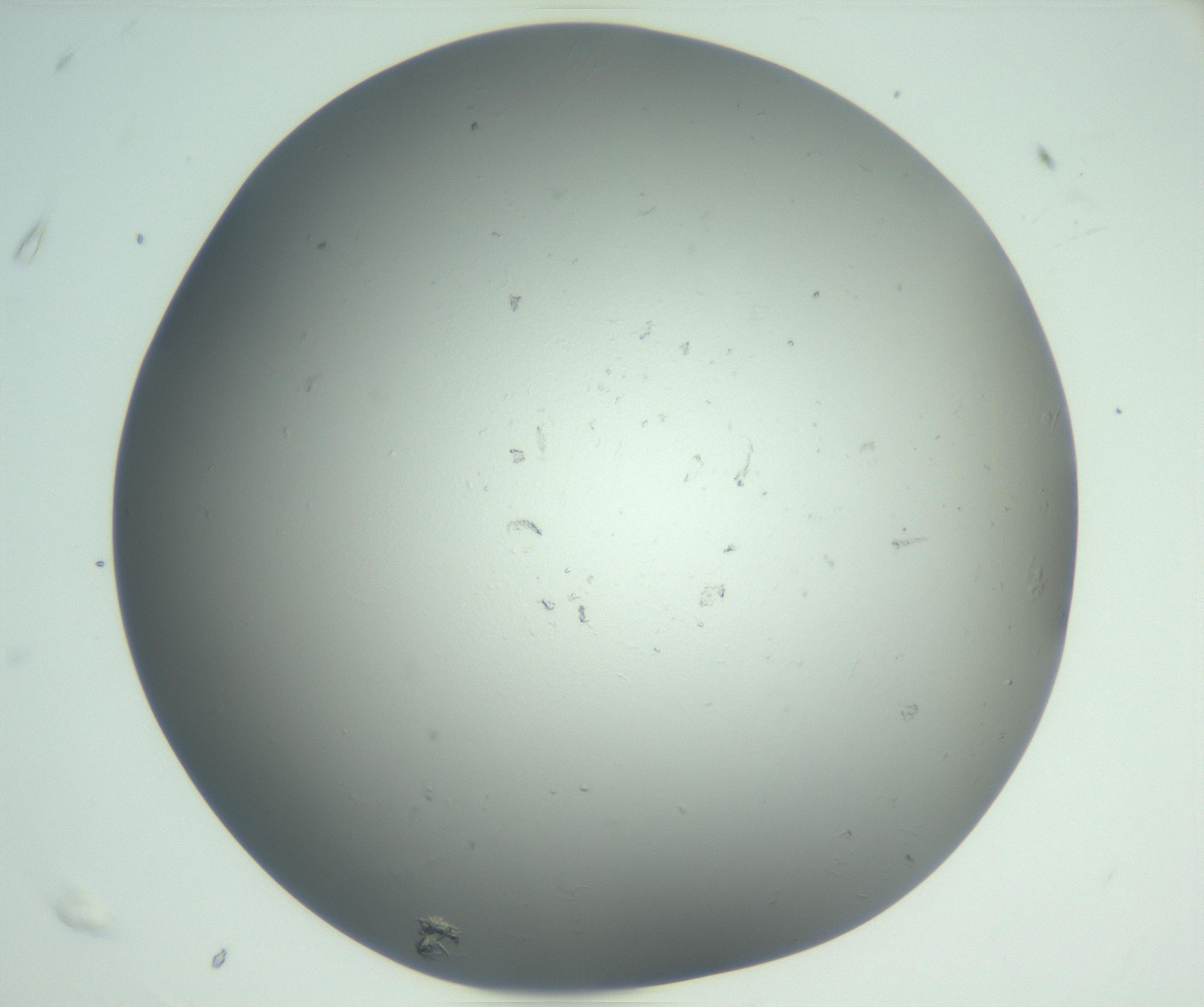 RI01_03_000_0212_Proj1_Clon1_MC_0000MC102864_003_161022_07_06_02_00_99_002_001_RAI.jpg