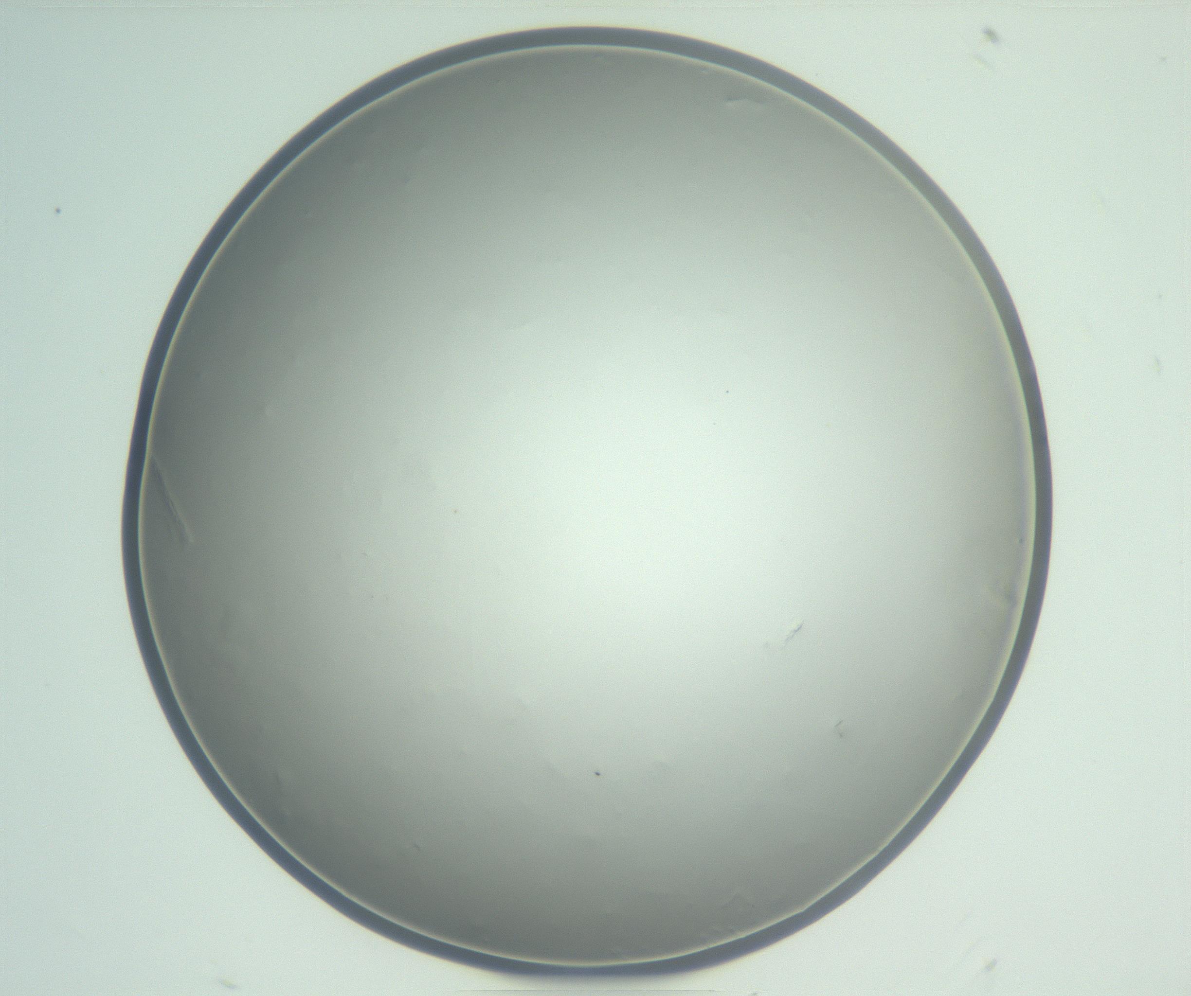 RI01_03_000_0212_Proj1_Clon1_MC_0000MC102864_003_161022_08_02_01_00_99_002_001_RAI.jpg