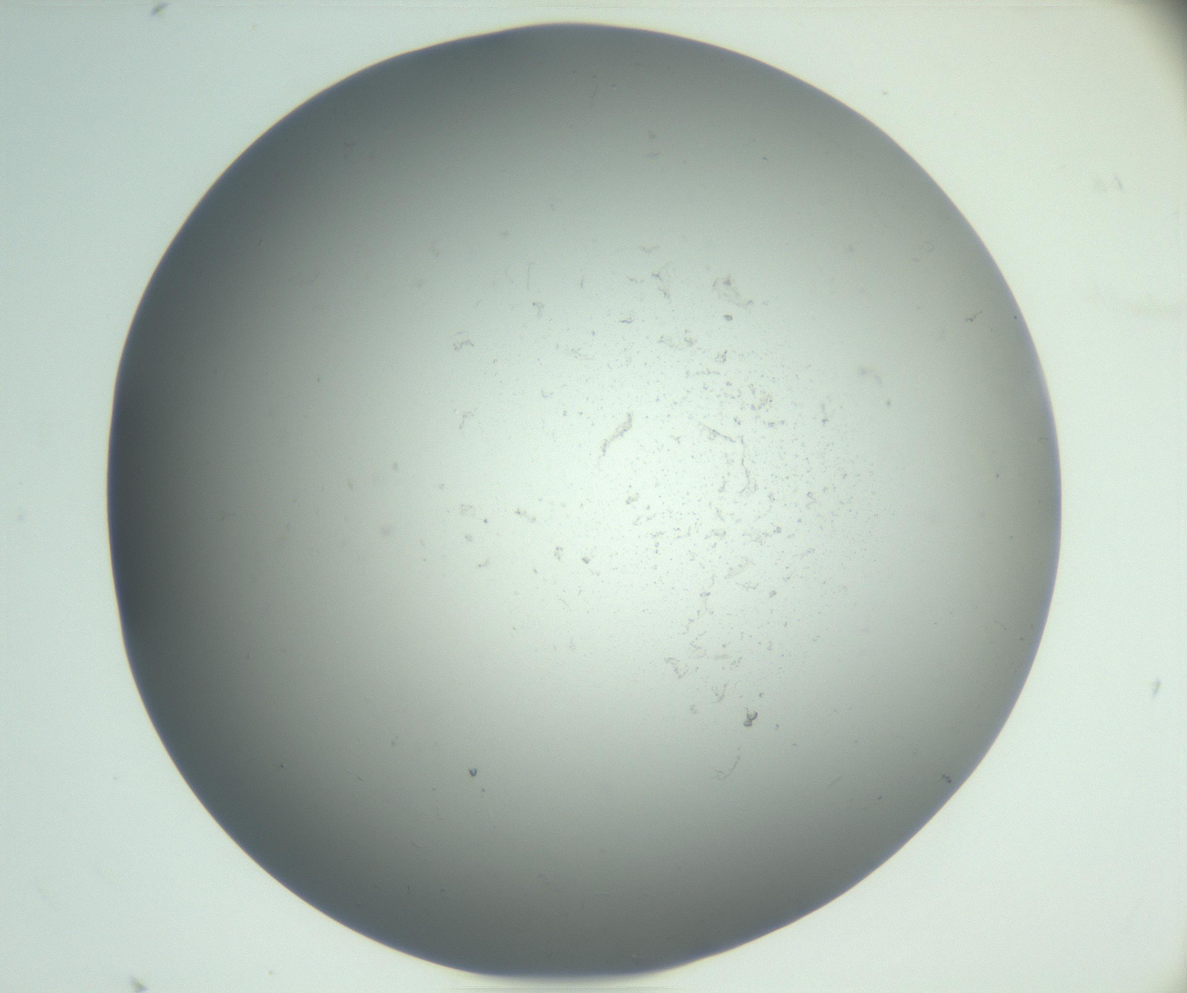 RI01_03_000_0212_Proj1_Clon1_MC_0000MC102864_003_161022_08_03_02_00_99_002_001_RAI.jpg