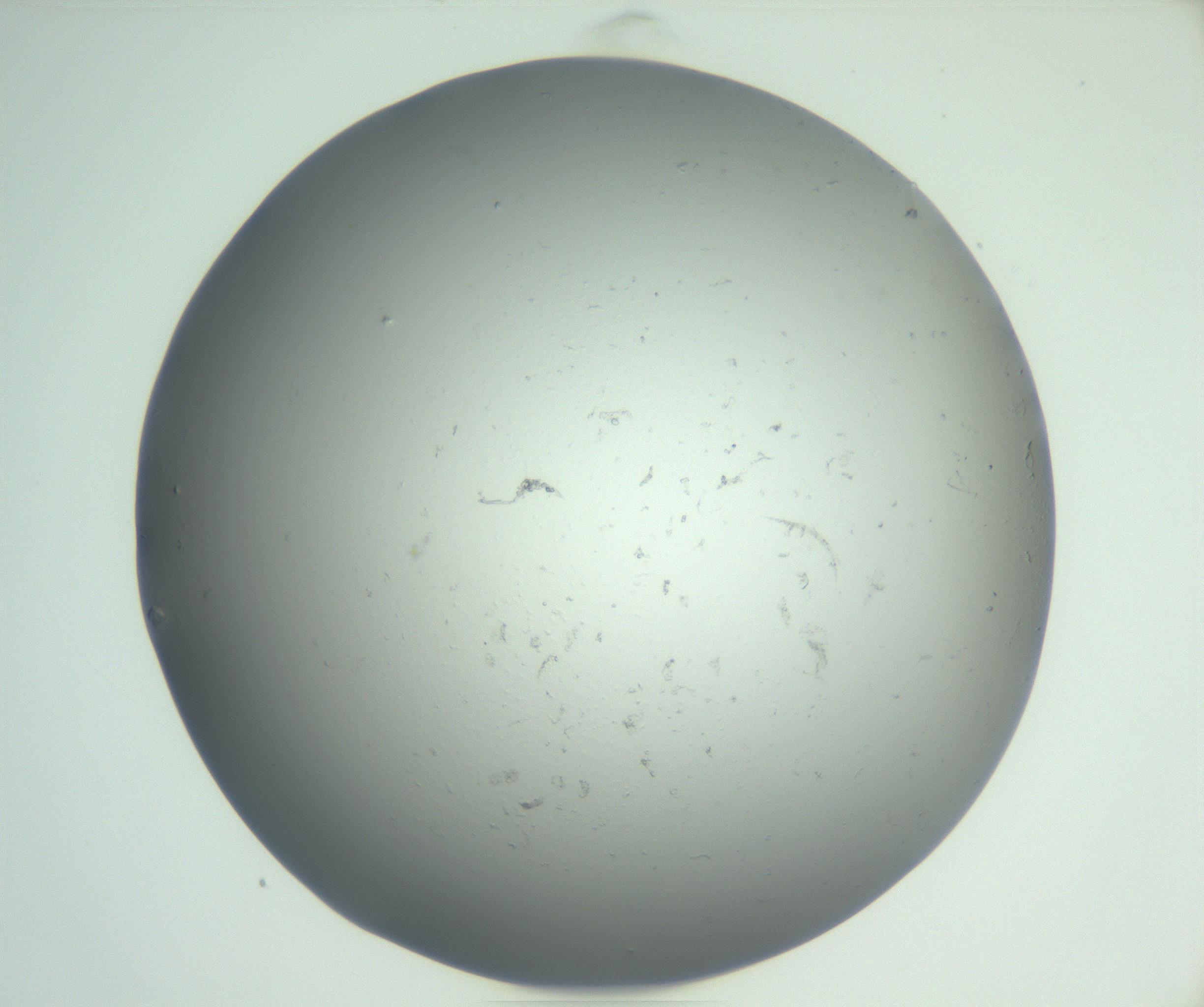 RI01_03_000_0212_Proj1_Clon1_MC_0000MC102864_003_161022_08_04_01_00_99_002_001_RAI.jpg