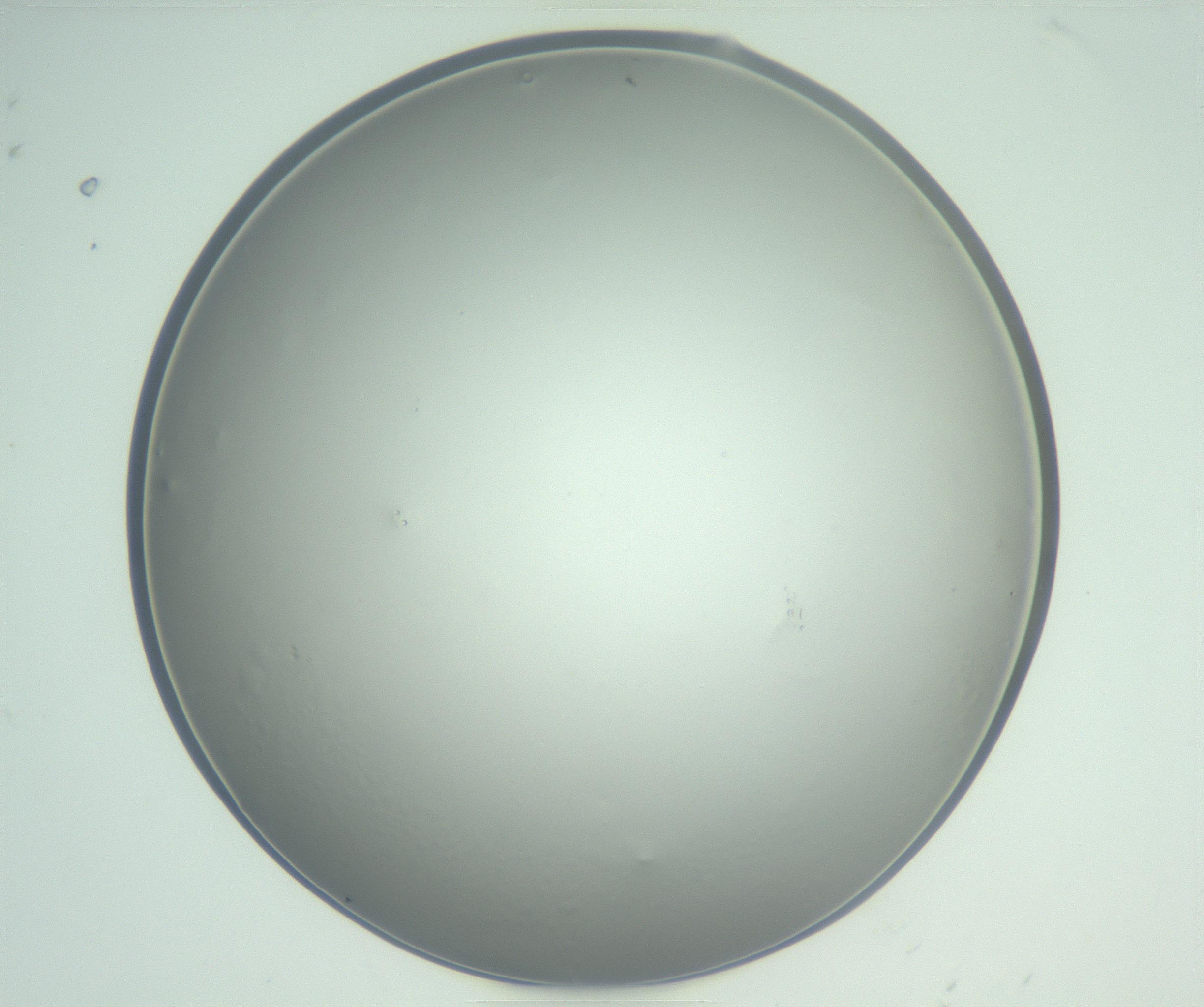 RI01_03_000_0212_Proj1_Clon1_MC_0000MC102864_003_161022_08_05_01_00_99_002_001_RAI.jpg