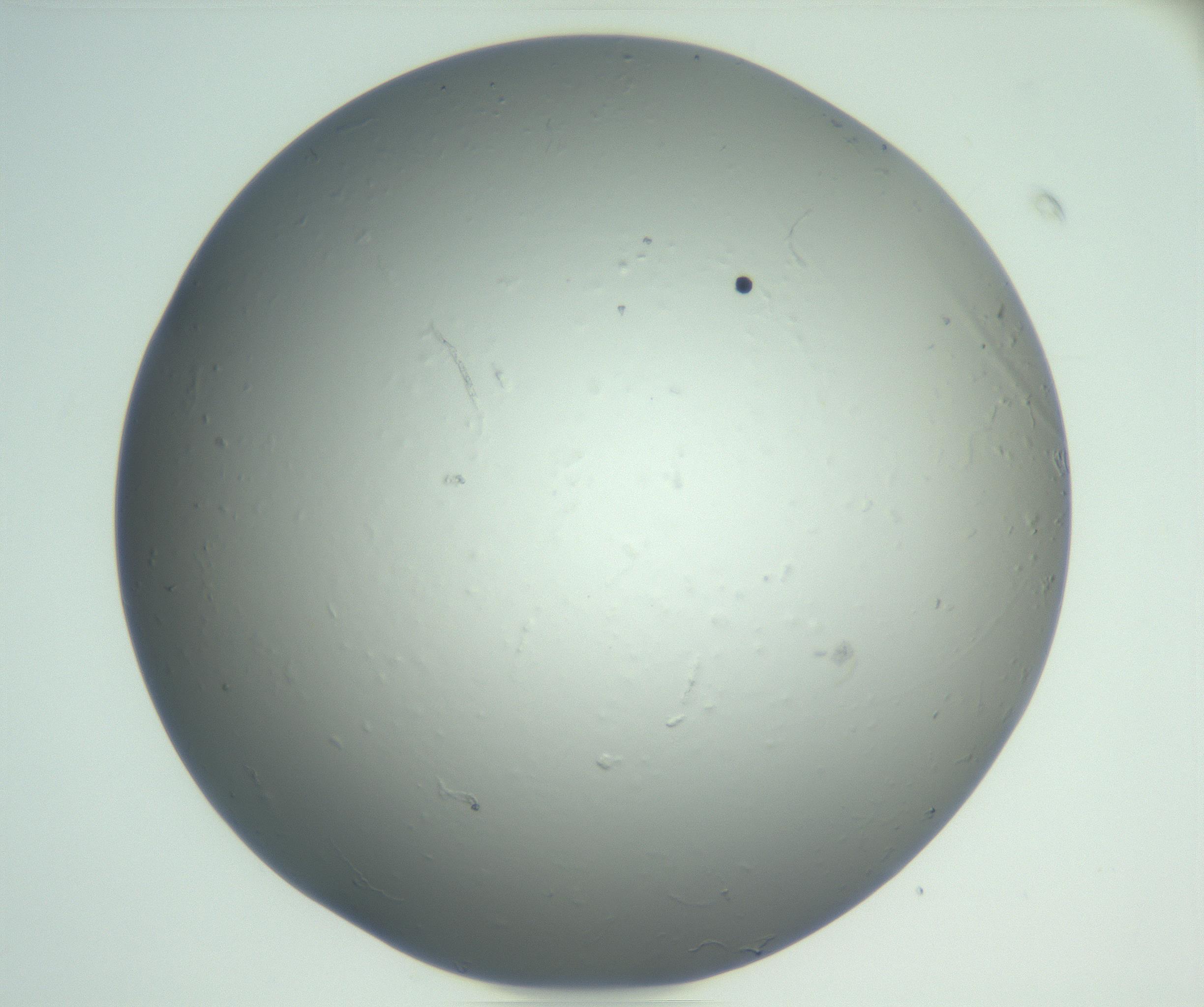 RI01_03_000_0212_Proj1_Clon1_MC_0000MC102864_003_161022_08_06_01_00_99_002_001_RAI.jpg