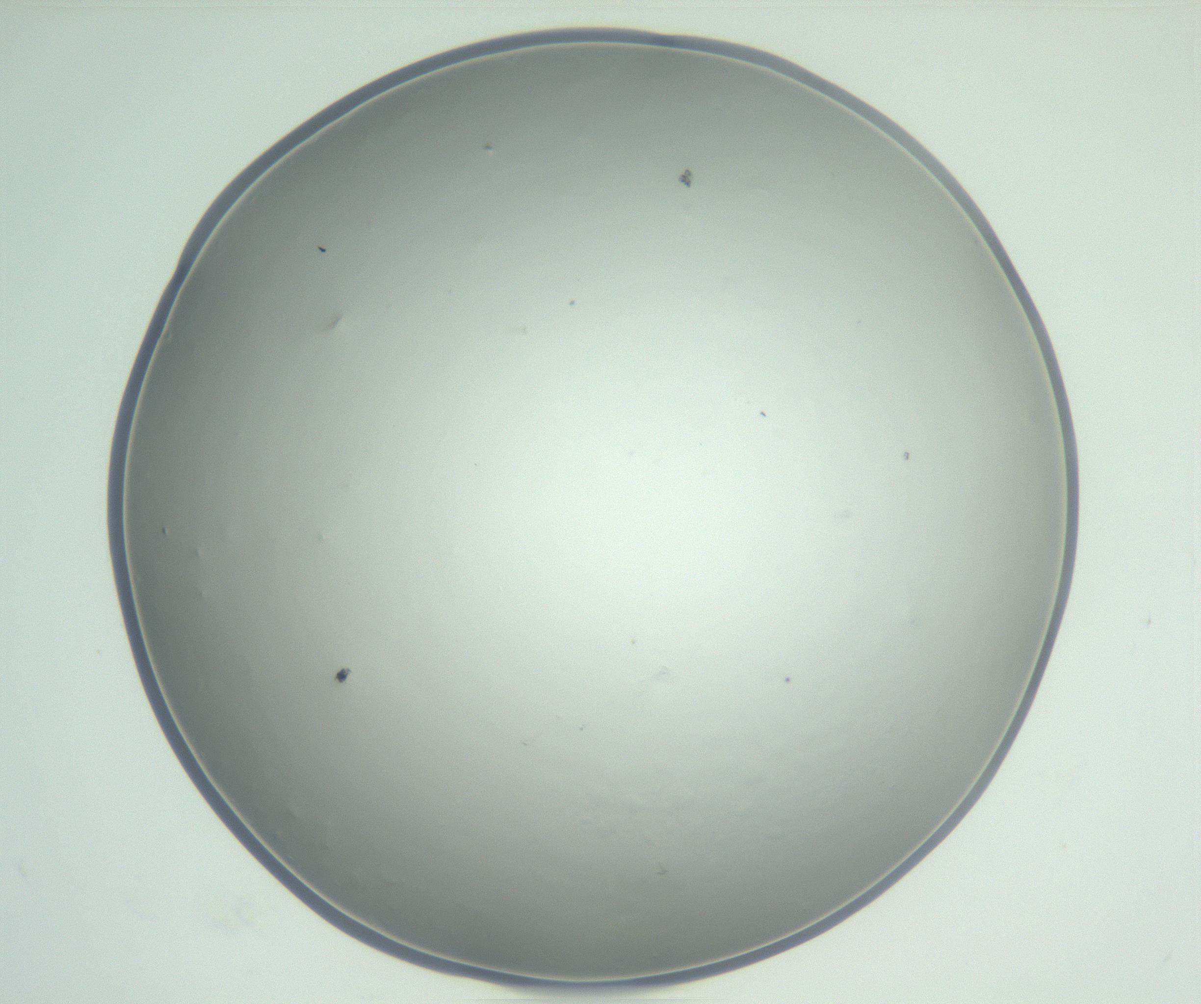 RI01_03_000_0212_Proj1_Clon1_MC_0000MC102864_003_161022_09_04_01_00_99_002_001_RAI.jpg