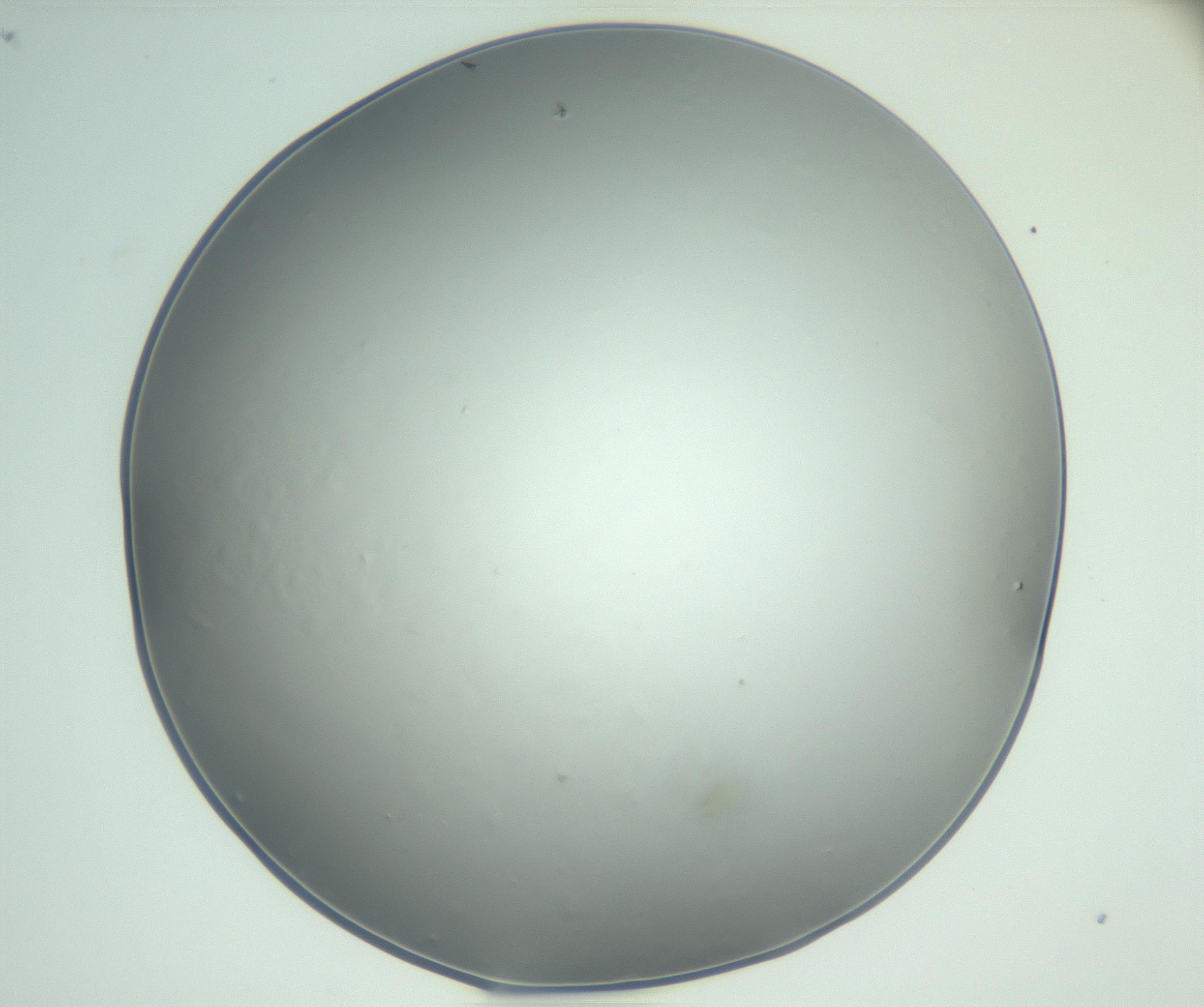 RI01_03_000_0212_Proj1_Clon1_MC_0000MC102864_003_161022_09_04_02_00_99_002_001_RAI.jpg