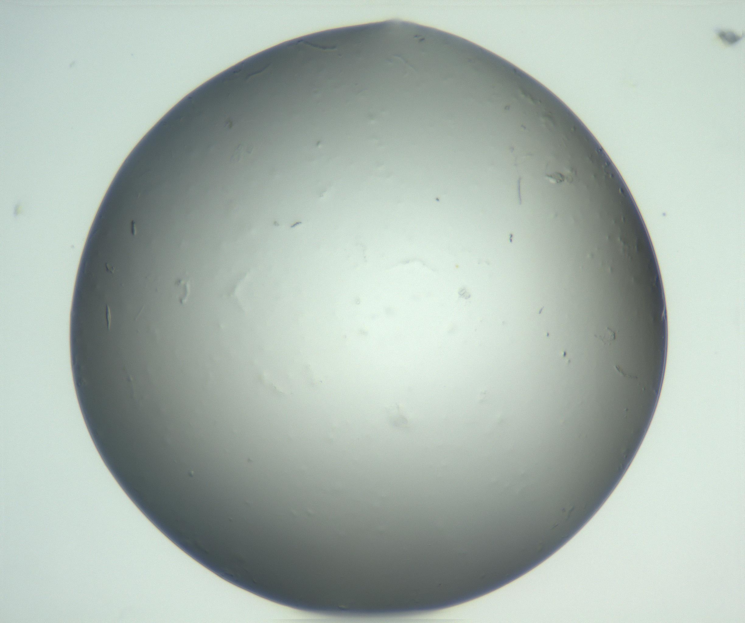RI01_03_000_0212_Proj1_Clon1_MC_0000MC102864_003_161022_09_06_01_00_99_002_001_RAI.jpg