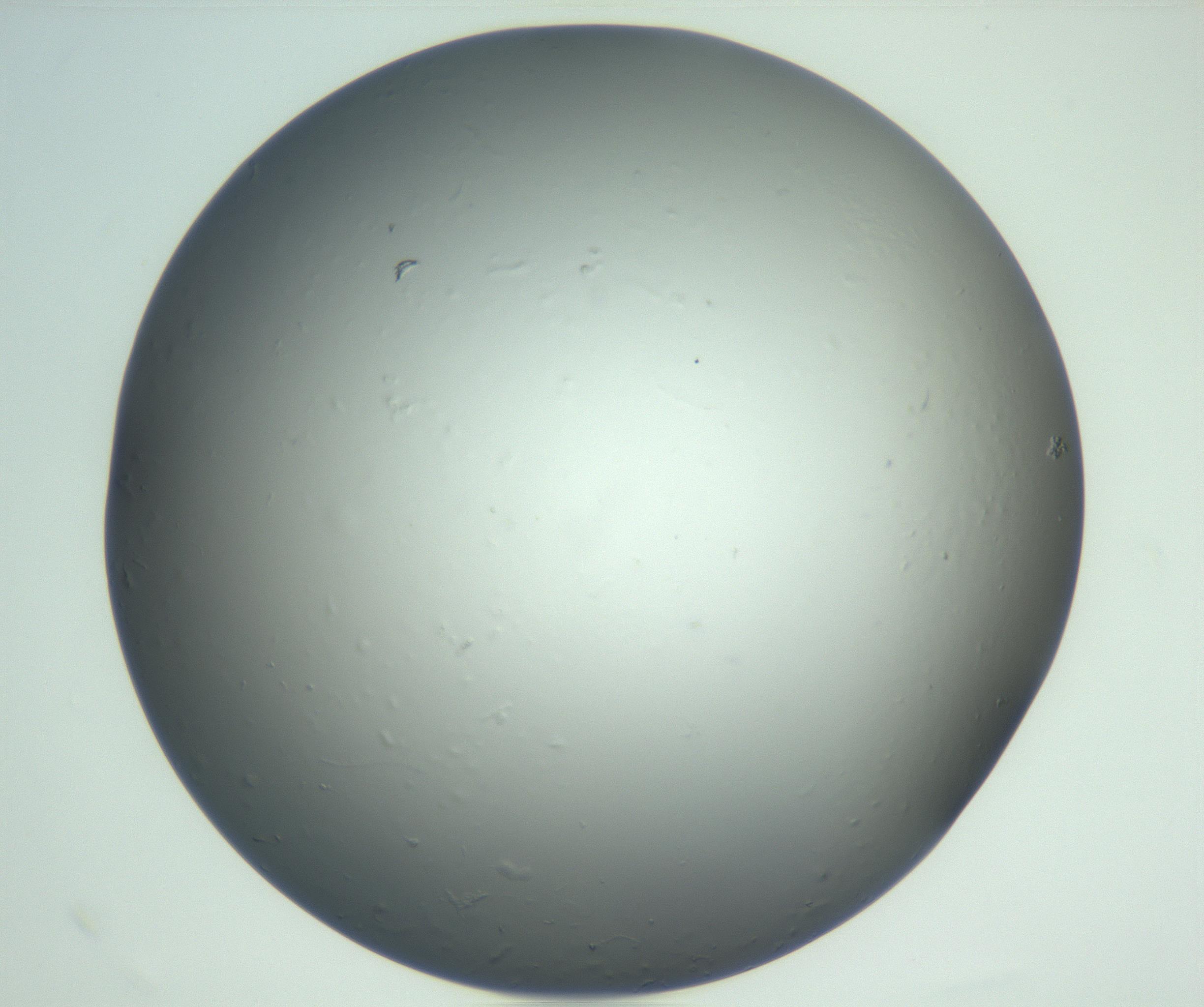 RI01_03_000_0212_Proj1_Clon1_MC_0000MC102864_003_161022_09_06_02_00_99_002_001_RAI.jpg
