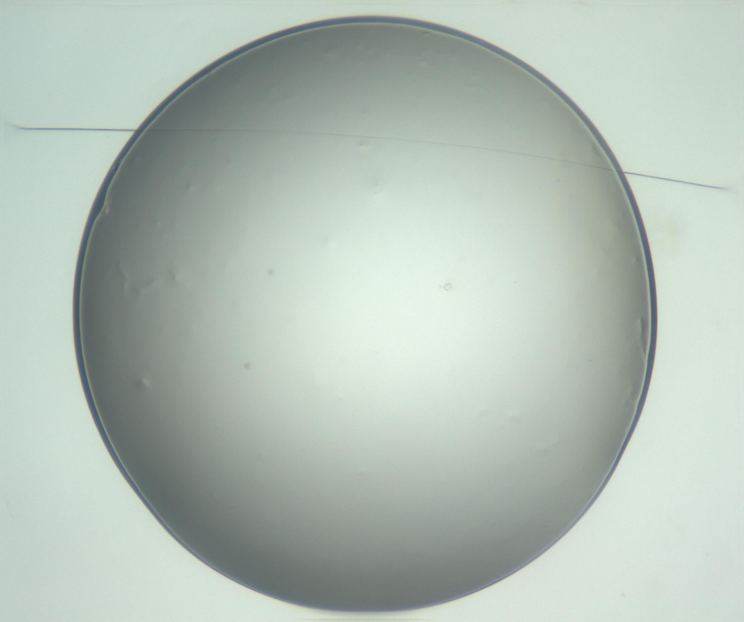 RI01_03_000_0212_Proj1_Clon1_MC_0000MC102864_003_161022_10_01_01_00_99_002_001_RAI.jpg