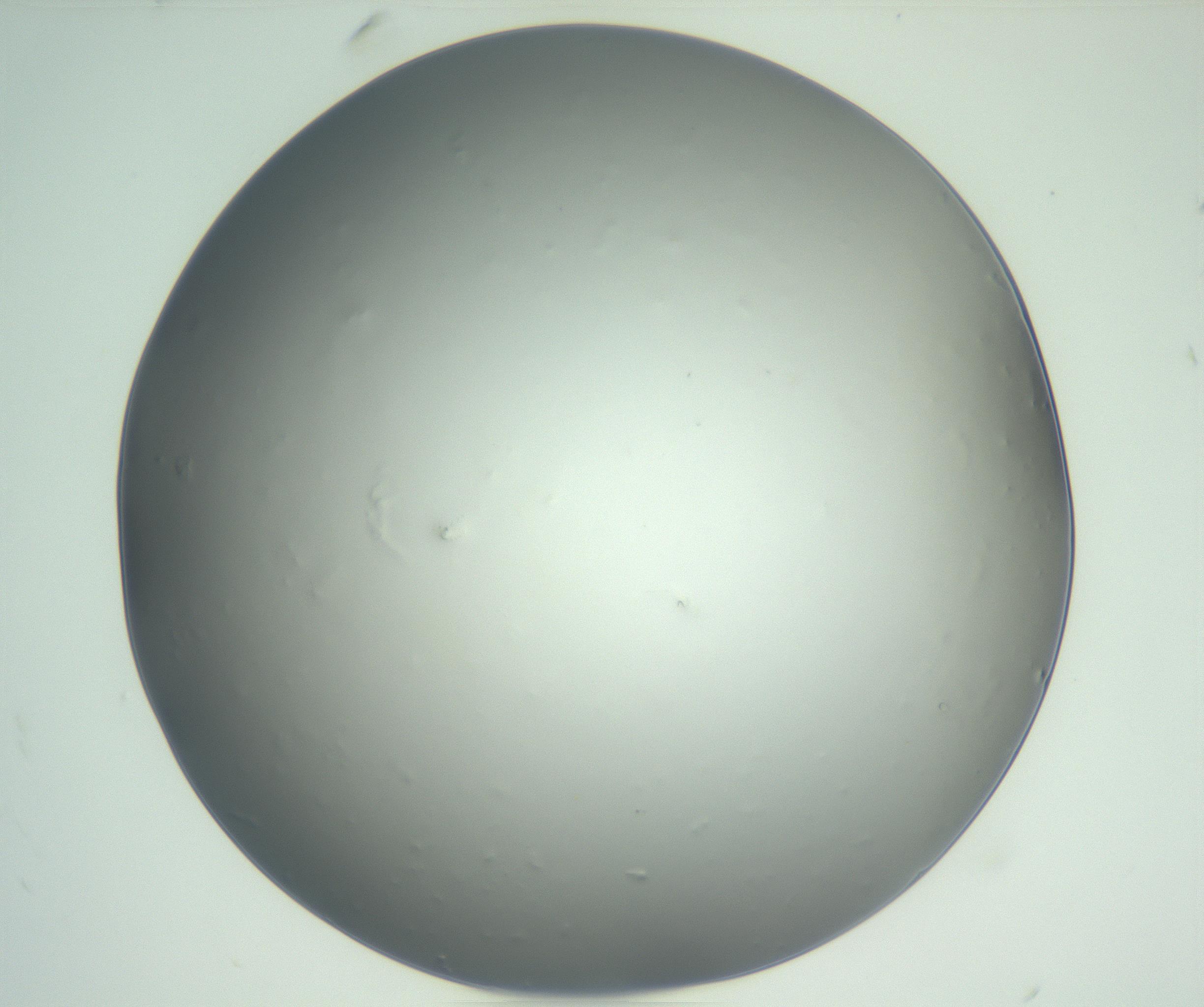 RI01_03_000_0212_Proj1_Clon1_MC_0000MC102864_003_161022_10_01_02_00_99_002_001_RAI.jpg