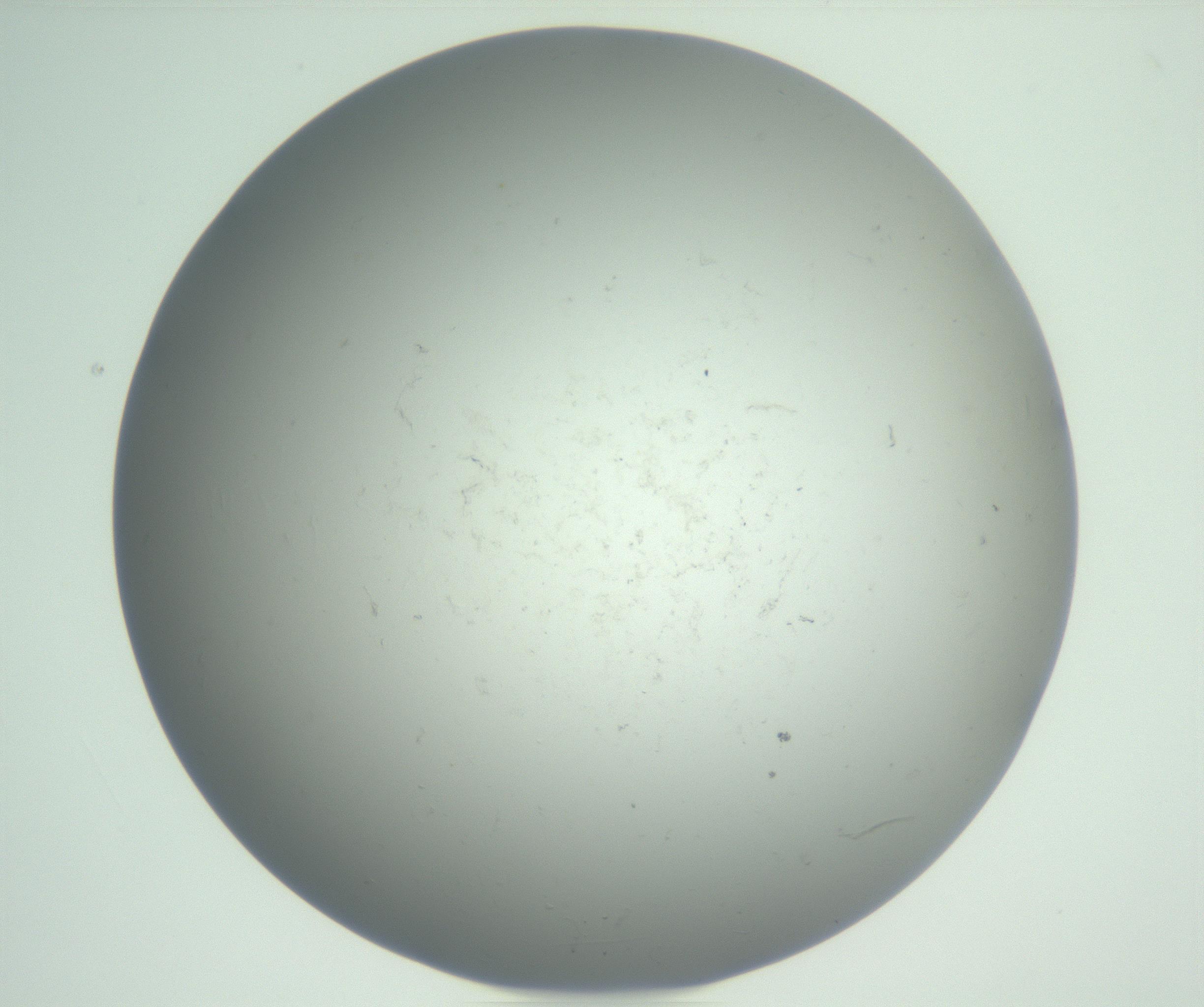 RI01_03_000_0212_Proj1_Clon1_MC_0000MC102864_003_161022_10_02_01_00_99_002_001_RAI.jpg