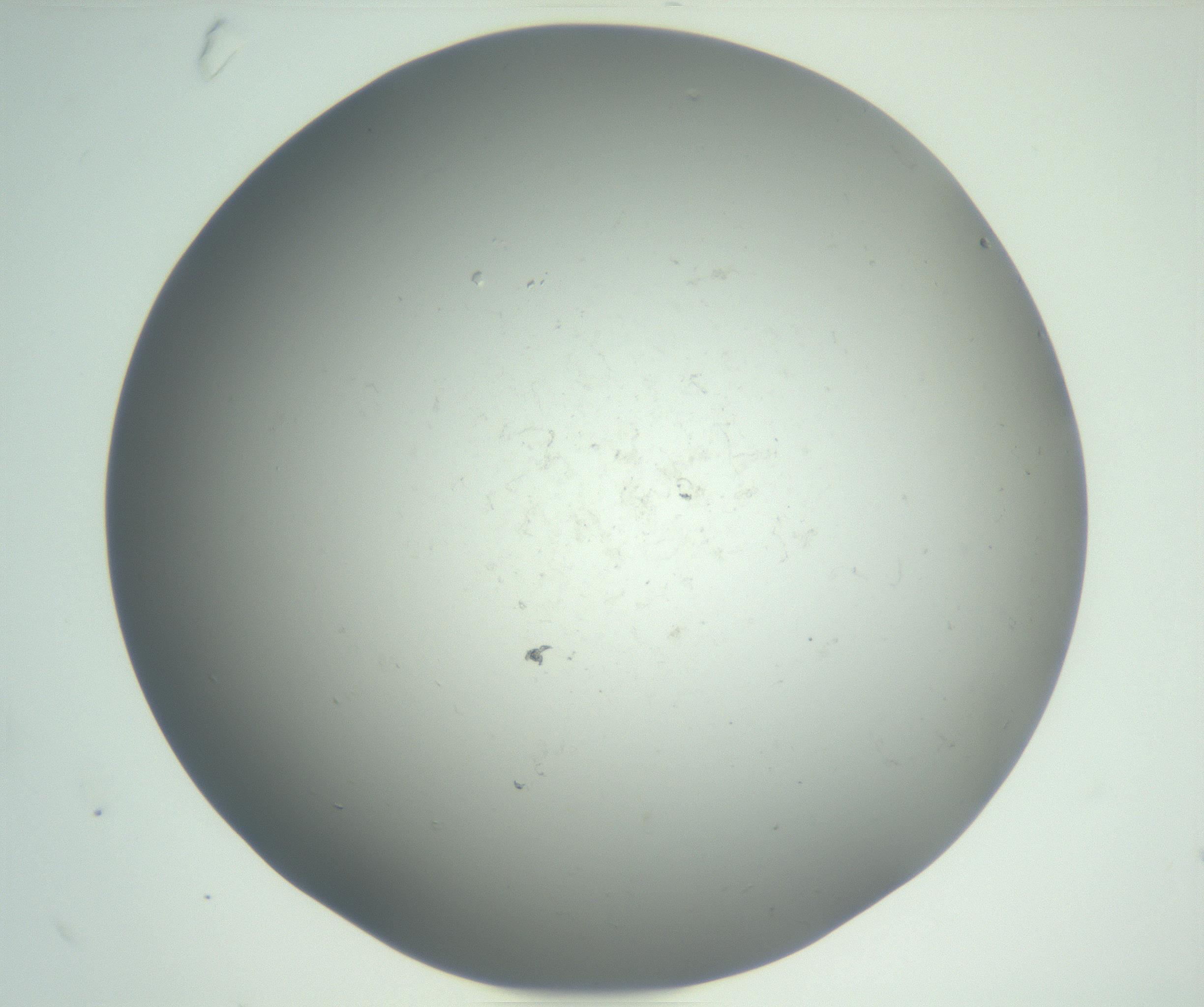 RI01_03_000_0212_Proj1_Clon1_MC_0000MC102864_003_161022_10_02_02_00_99_002_001_RAI.jpg