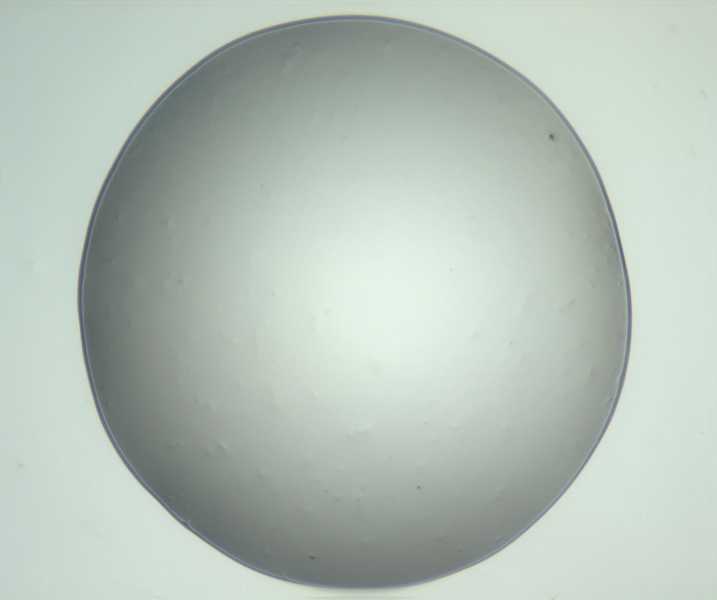 RI01_03_000_0212_Proj1_Clon1_MC_0000MC102864_003_161022_10_04_01_00_99_002_001_RAI.jpg
