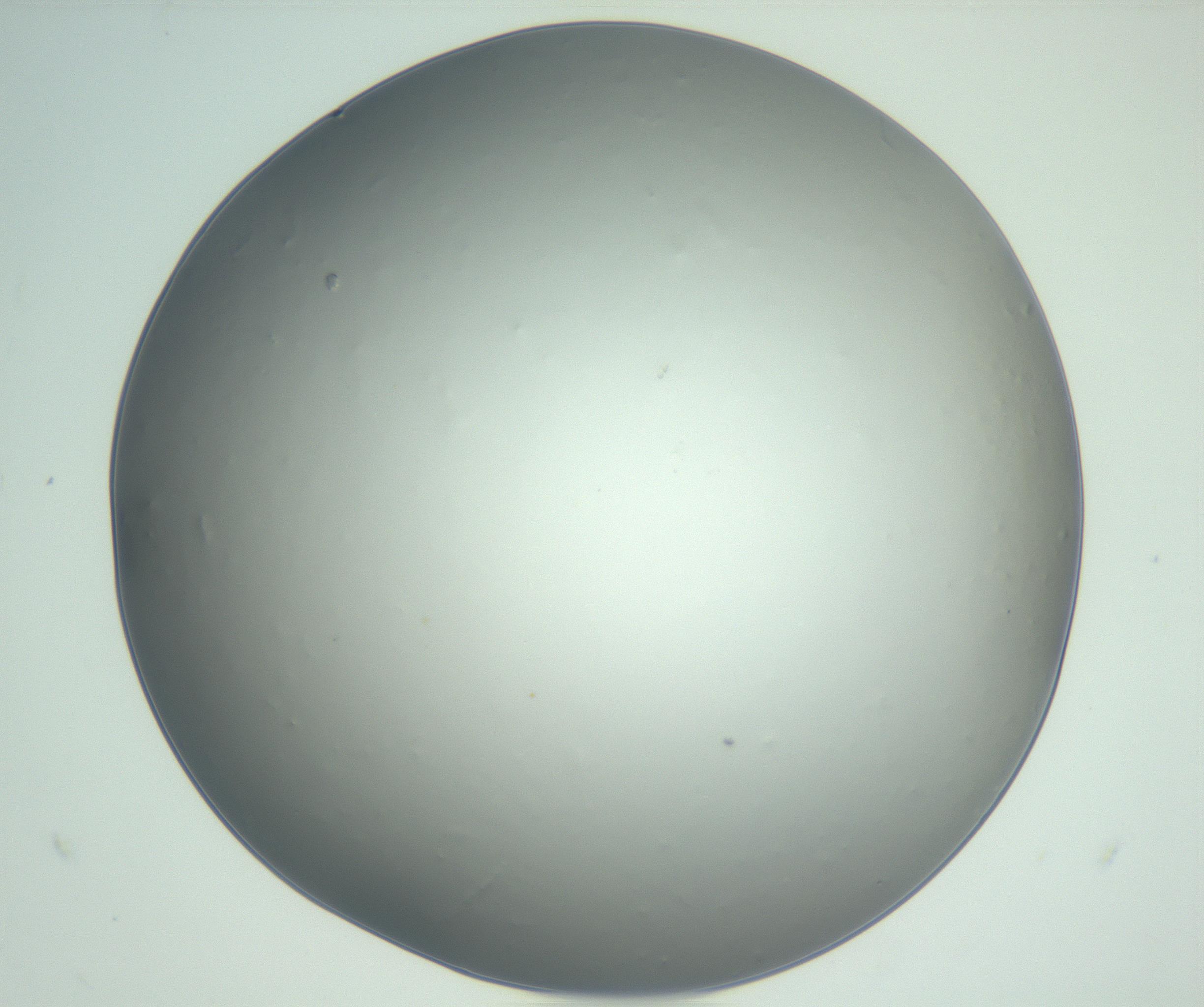 RI01_03_000_0212_Proj1_Clon1_MC_0000MC102864_003_161022_10_04_02_00_99_002_001_RAI.jpg