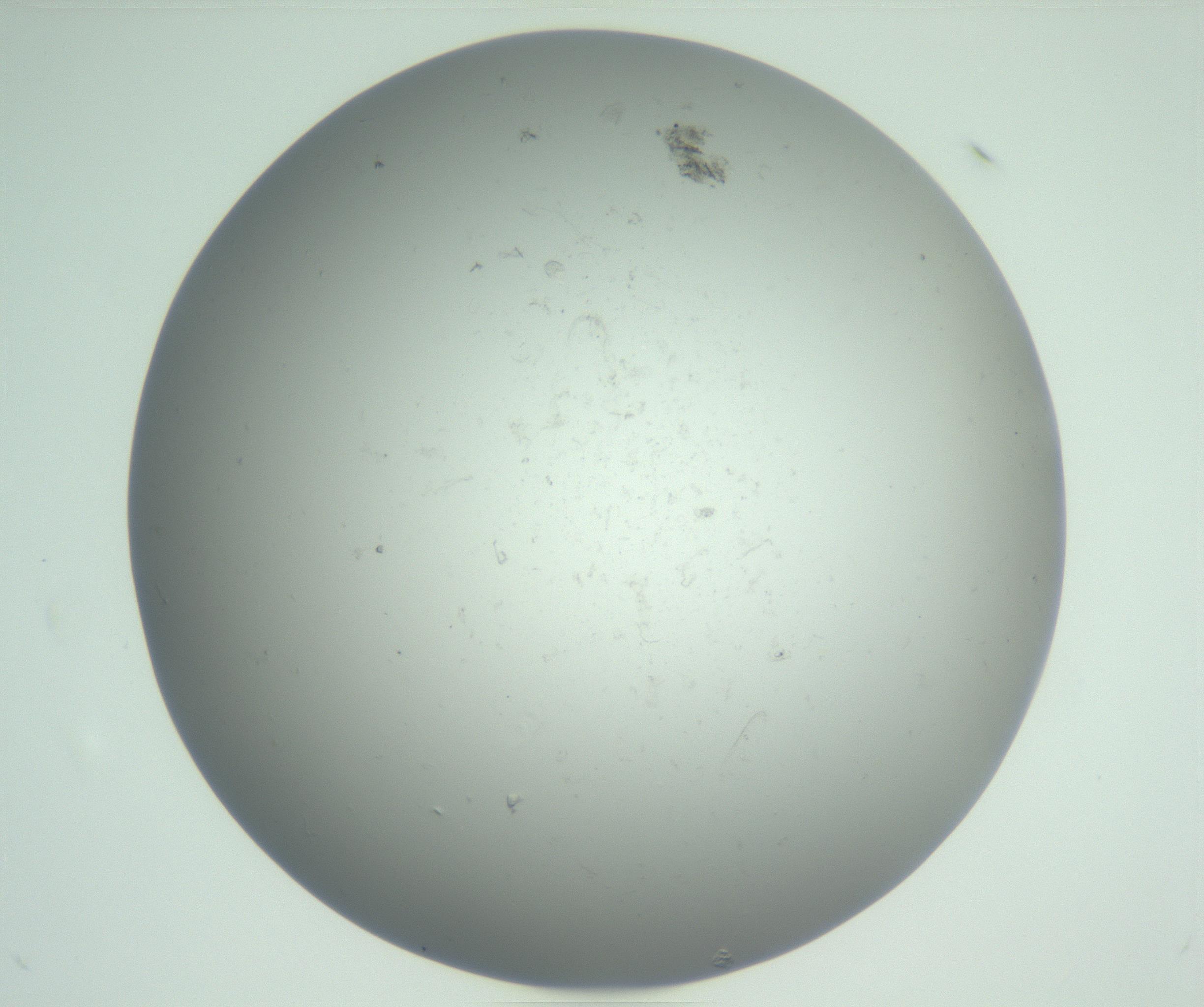 RI01_03_000_0212_Proj1_Clon1_MC_0000MC102864_003_161022_10_05_01_00_99_002_001_RAI.jpg