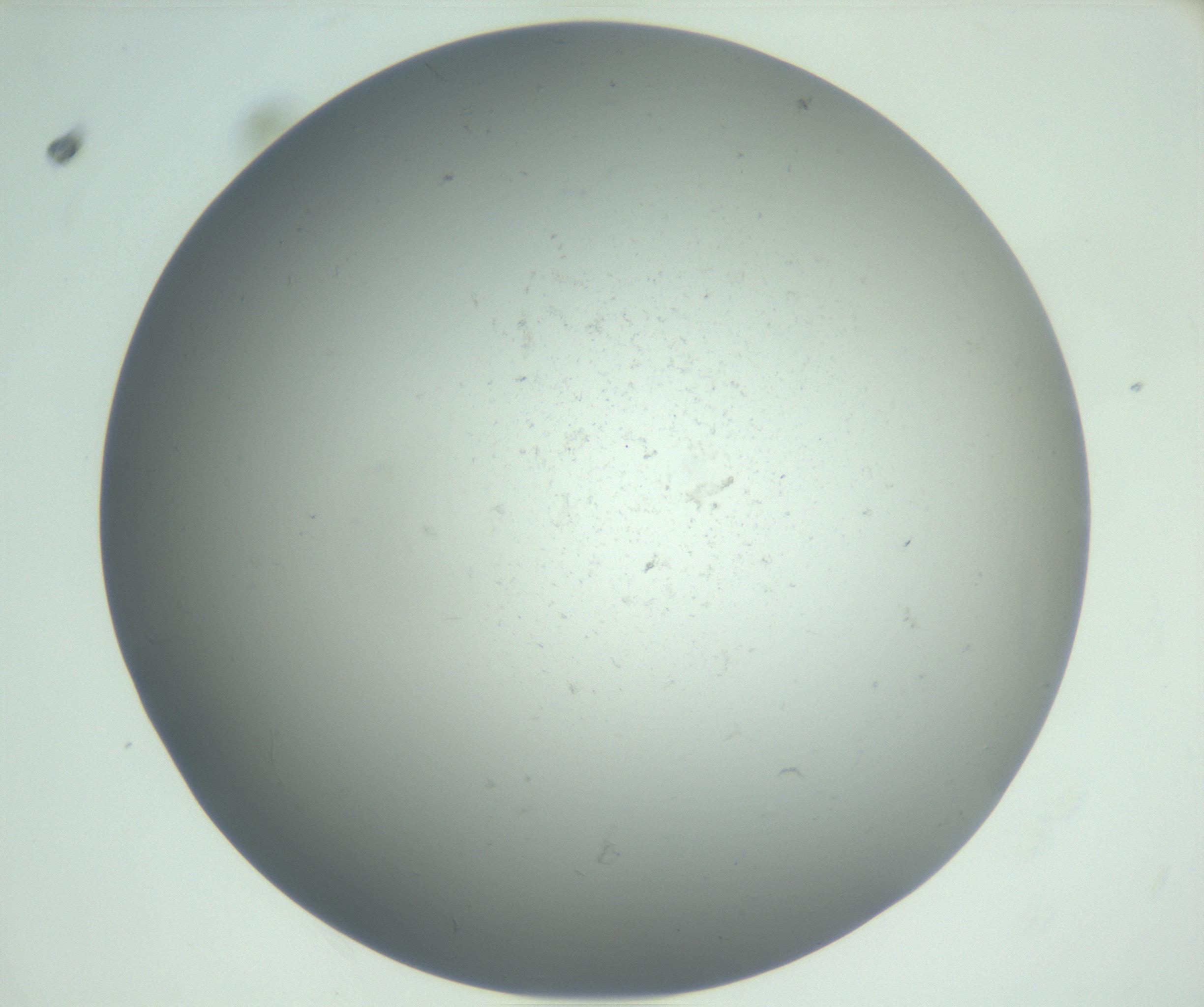 RI01_03_000_0212_Proj1_Clon1_MC_0000MC102864_003_161022_10_05_02_00_99_002_001_RAI.jpg